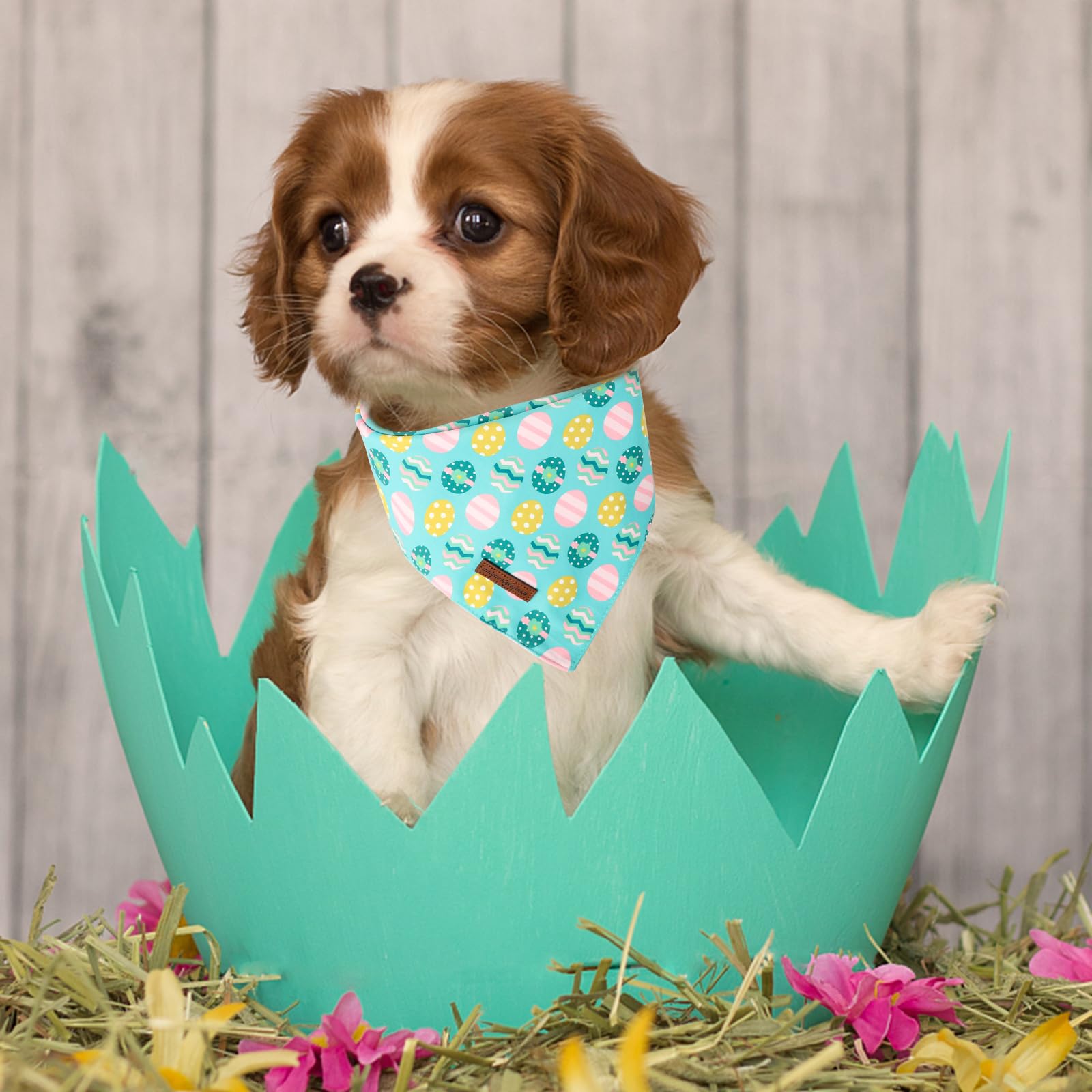 Unique Style Paws Dog Easter Bandanas 2Pcs Washable Cotton Triangle Sports Rabbit Egg Dog Scarfs For Small Medium Large Dogs And