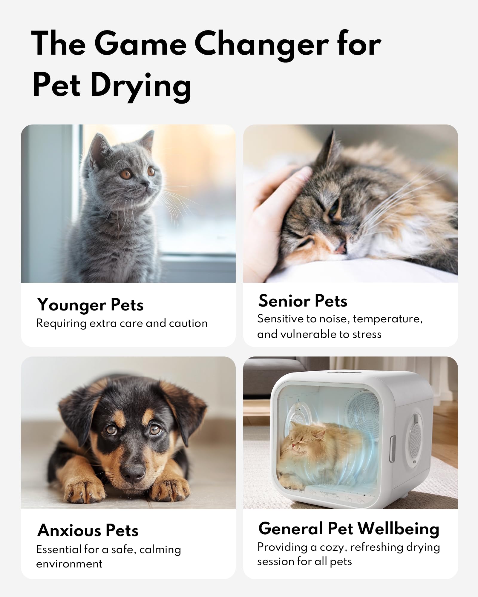 HomeRunPet Cat Dryer, 360 Efficient Automatic and Quiet Box with Smart Temperature Control, Ideal for Small Dogs (50L Drybo Plus