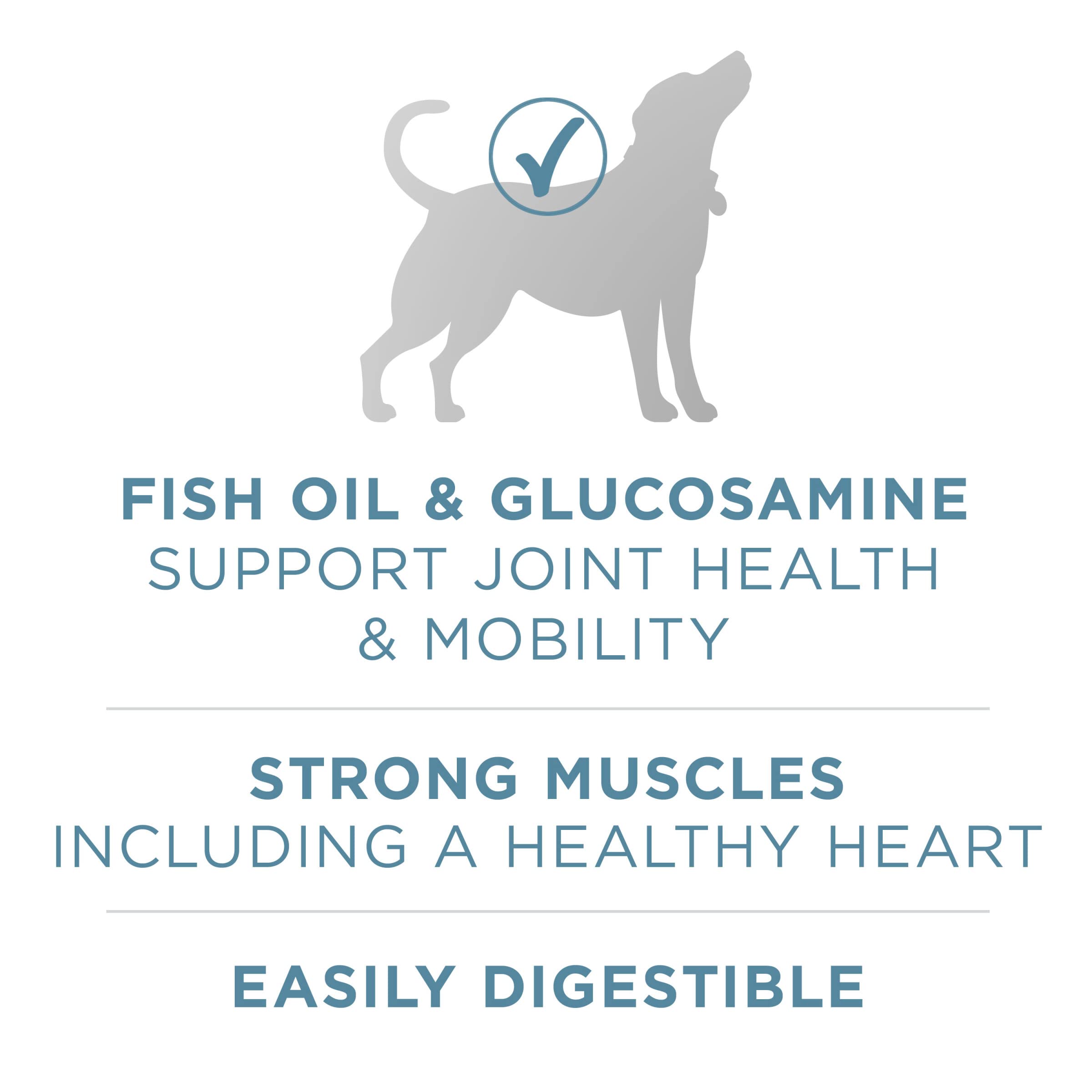 Purina ONE Plus Joint Health Formula Natural With Added Vitamins, Minerals and Nutrients Dry Dog Food - 31.1 lb. Bag