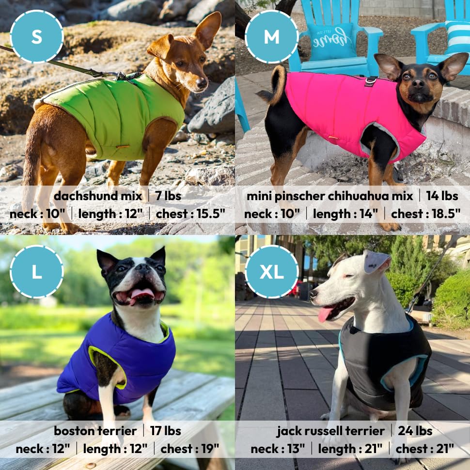 Gooby Padded Vest Dog Jacket - Solid Turquoise, Large - Warm Zip Up Vest Fleece Jacket With Dual D Ring Leash - Water Resistant