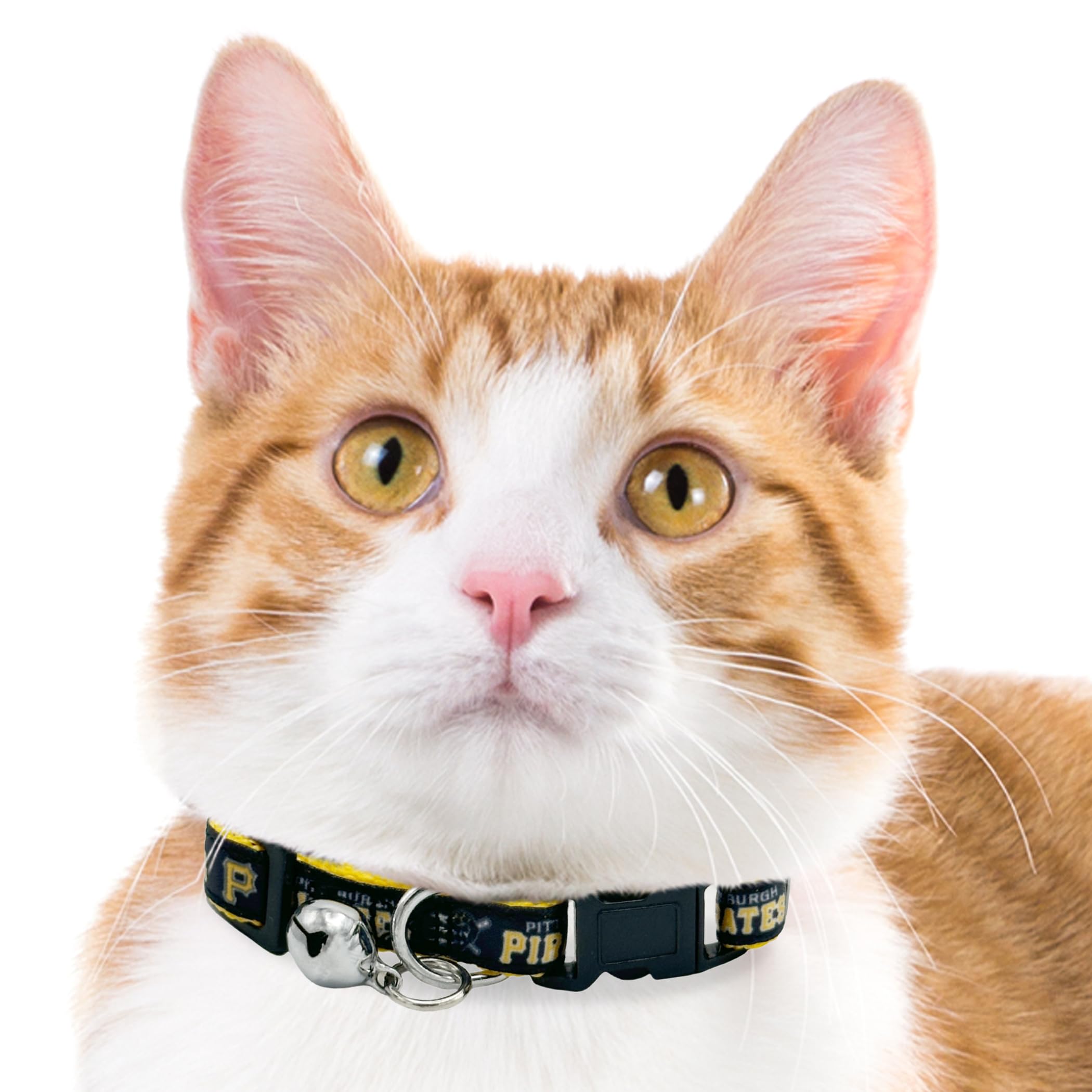 Mlb Cat Collar Pittsburgh Pirates Satin Cat Collar Baseball Team Collar For Dogs & Cats. A Shiny & Colorful Cat Collar With Ring