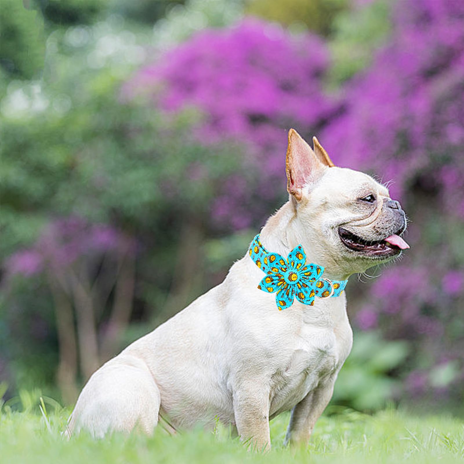 Lionheart Glory Dog Collar With Flower Dog Collar For Large Dogs, Bees Print Dog Flower Collars Spring Blue Cute Collars Pet Col