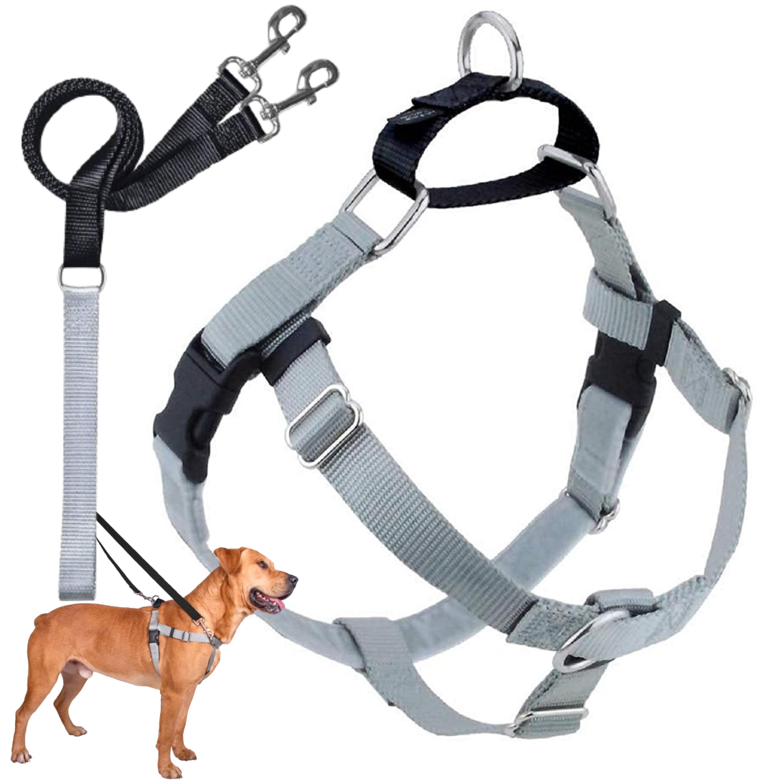 2 Hounds Design Freedom No Pull Dog Harness, Adjustable Harness And Leash Set, Easy Walking & Comfortable Control, Fits Small, Medium & Large Dogs, Solid Colors, Made In Usa, 5/8' Sm, Silver