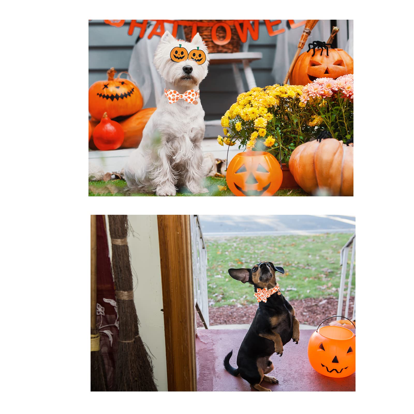 Up Urara Pup Halloween Dog Collar With Bow Tie, Pumpkin Cotton Bowtie Collar For X-Large Girl Boy Dog, Fall Dog Collar Bowtie With Durable Metal Buckle, Adorable Pumpkin Pet Collar, Xl, Neck 16-26In