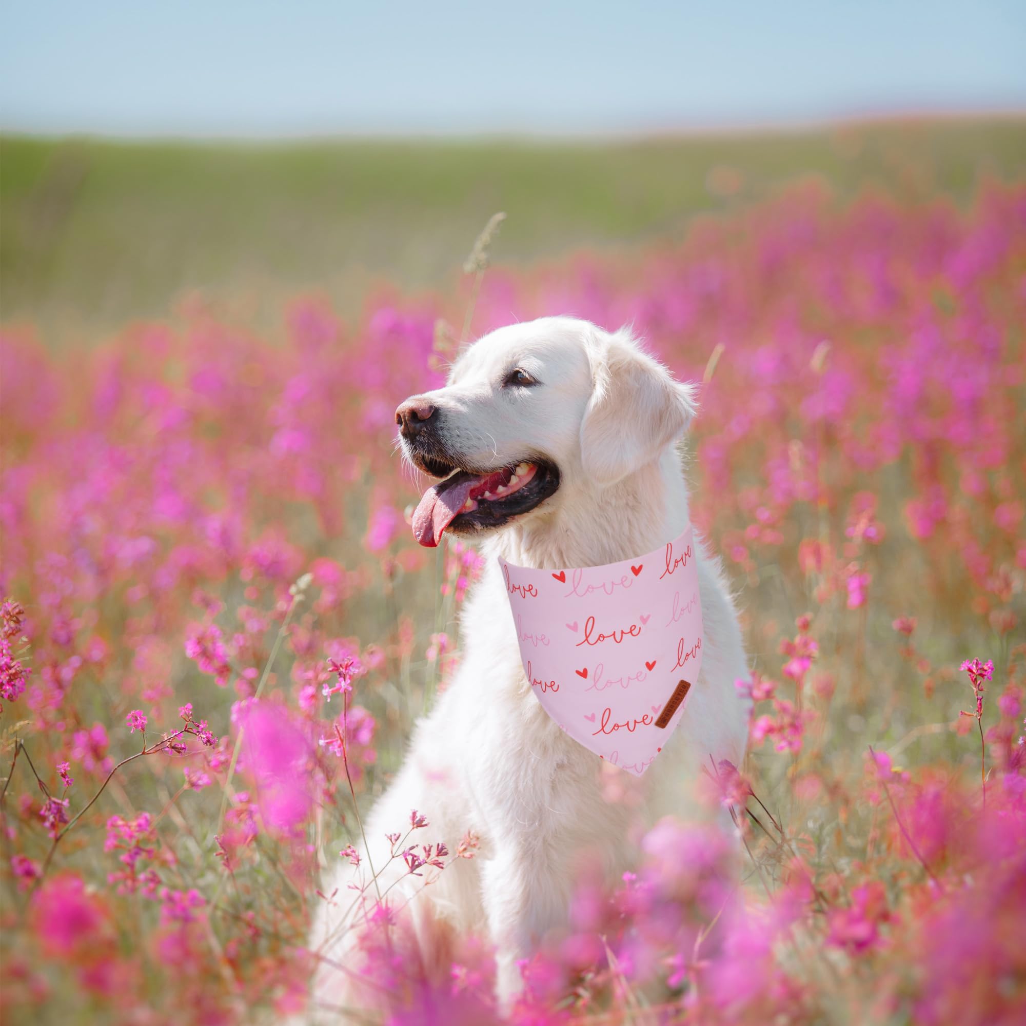 Adoggygo Valentine Dog Bandanas 2 Pack, Triangle Reversible Pink White Heart Dog Scarf, Premium Durable Fabric, Pet Valentine Ba