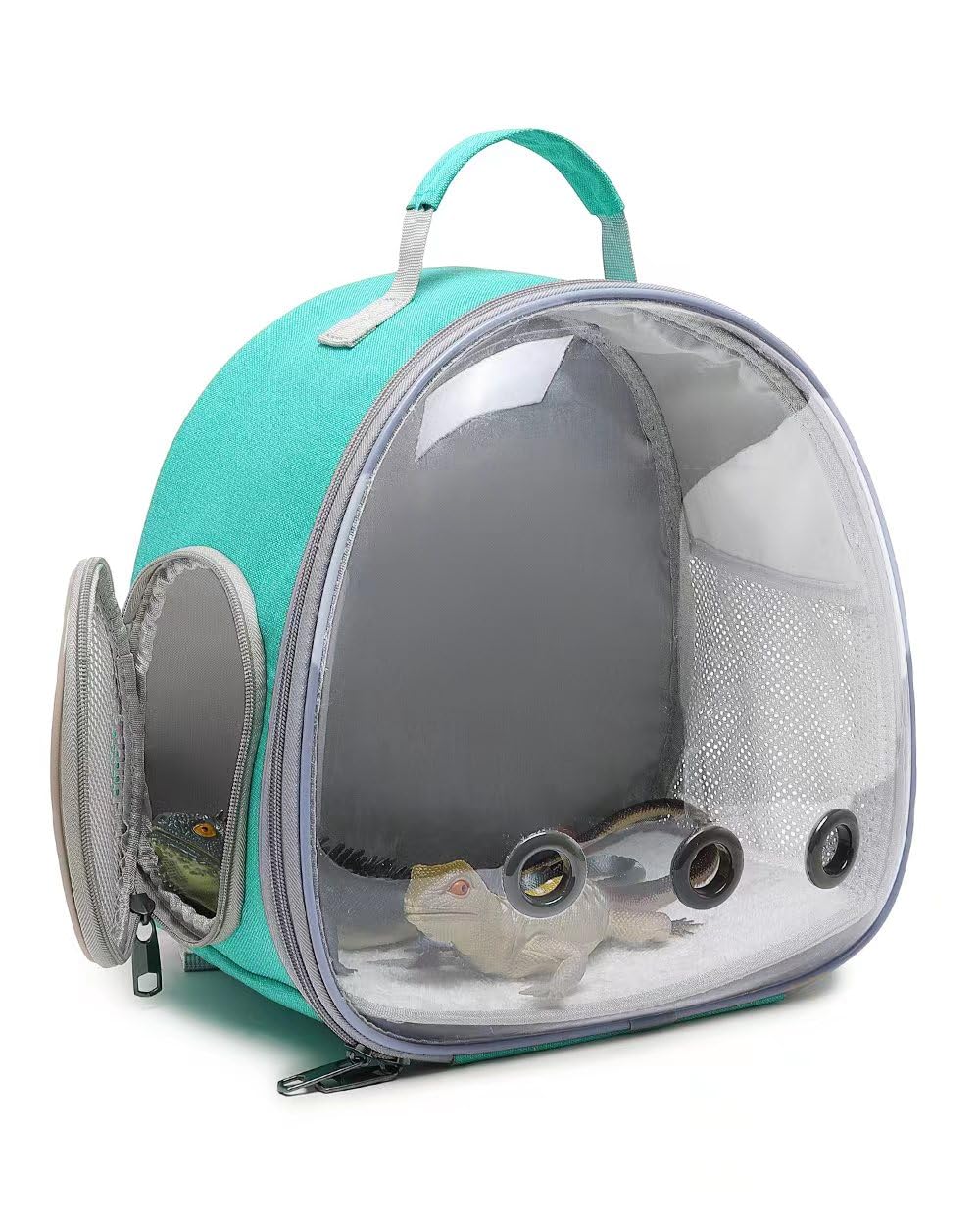 Hcupet Small Animal Carrier Backpack Space Capsule Bubble Window Carrier Backpack For Lizard Guinea Pig(Green)