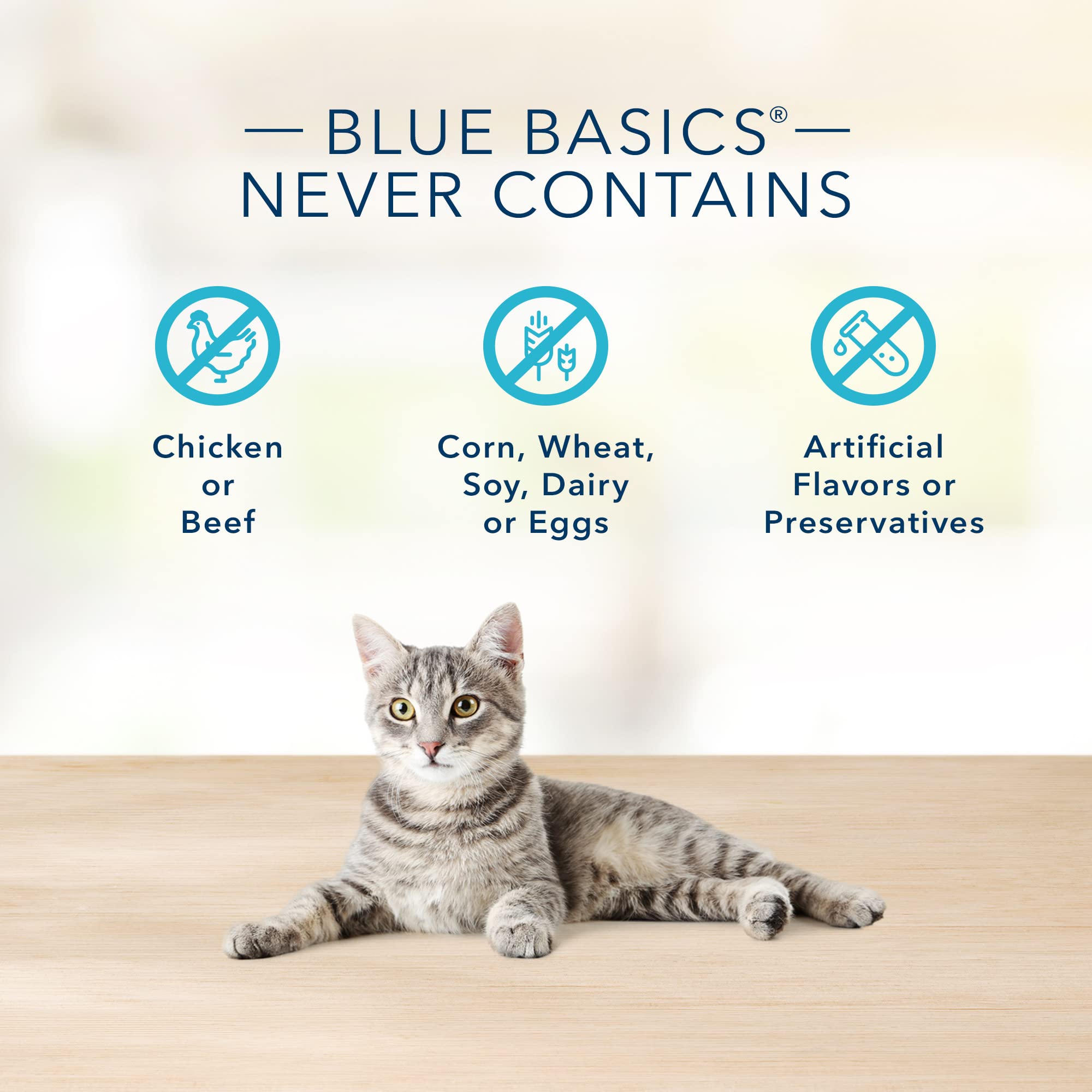 Blue Buffalo Basics Grain-Free Adult Wet Dog Food, Skin & Stomach Care, Limited Ingredient Diet, Turkey Recipe, 3-oz Can, 24 Cou