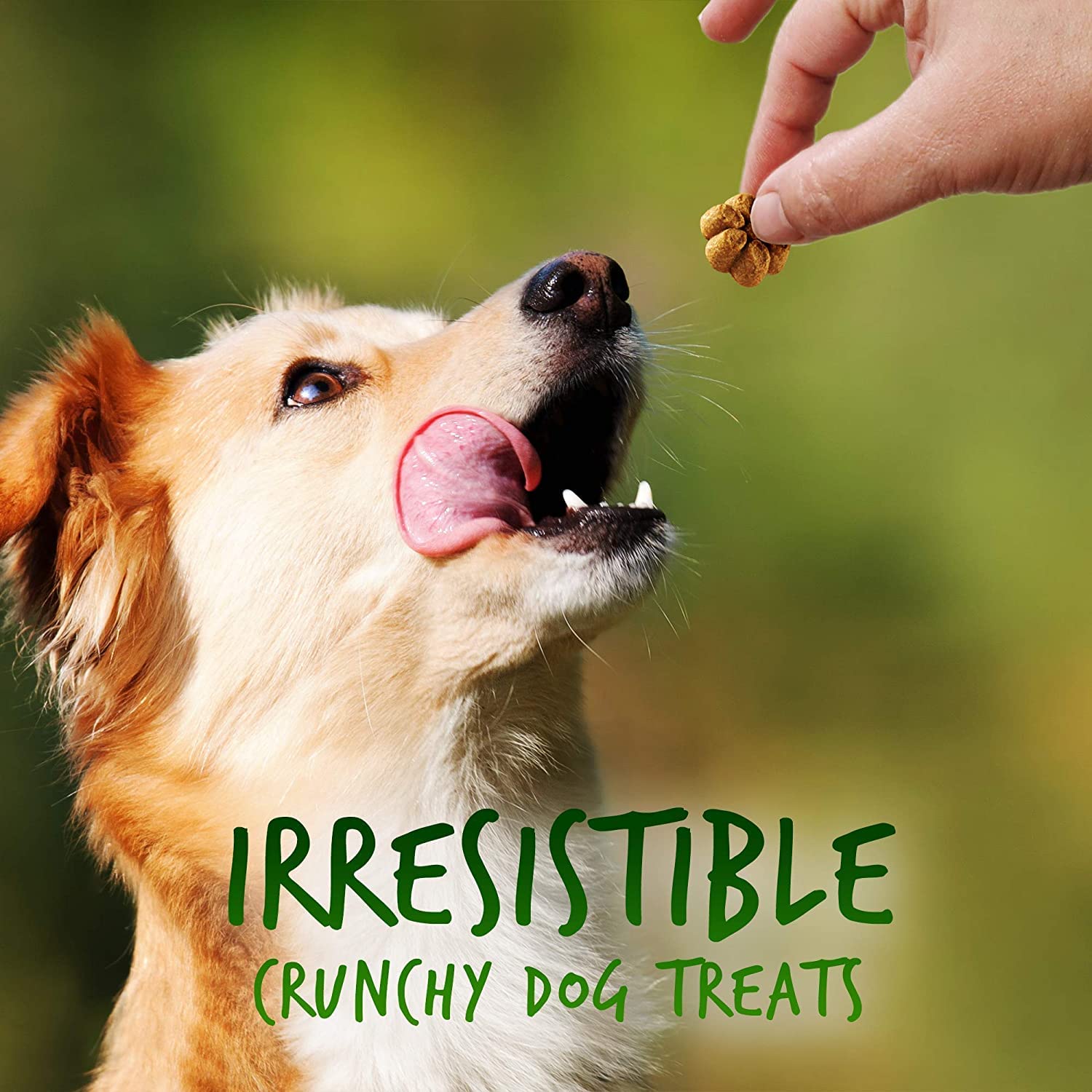 Fruitables Dog Treats Pumpkin & Apple Flavor, 7 oz