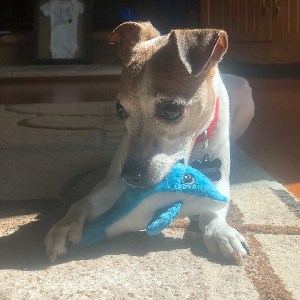 Smartpetlove Tender-Tuffs Tiny - Tough Plush Dog Toys For Puppies And Small Breeds - Stuffed Blue Dolphin With Puncture Resistan