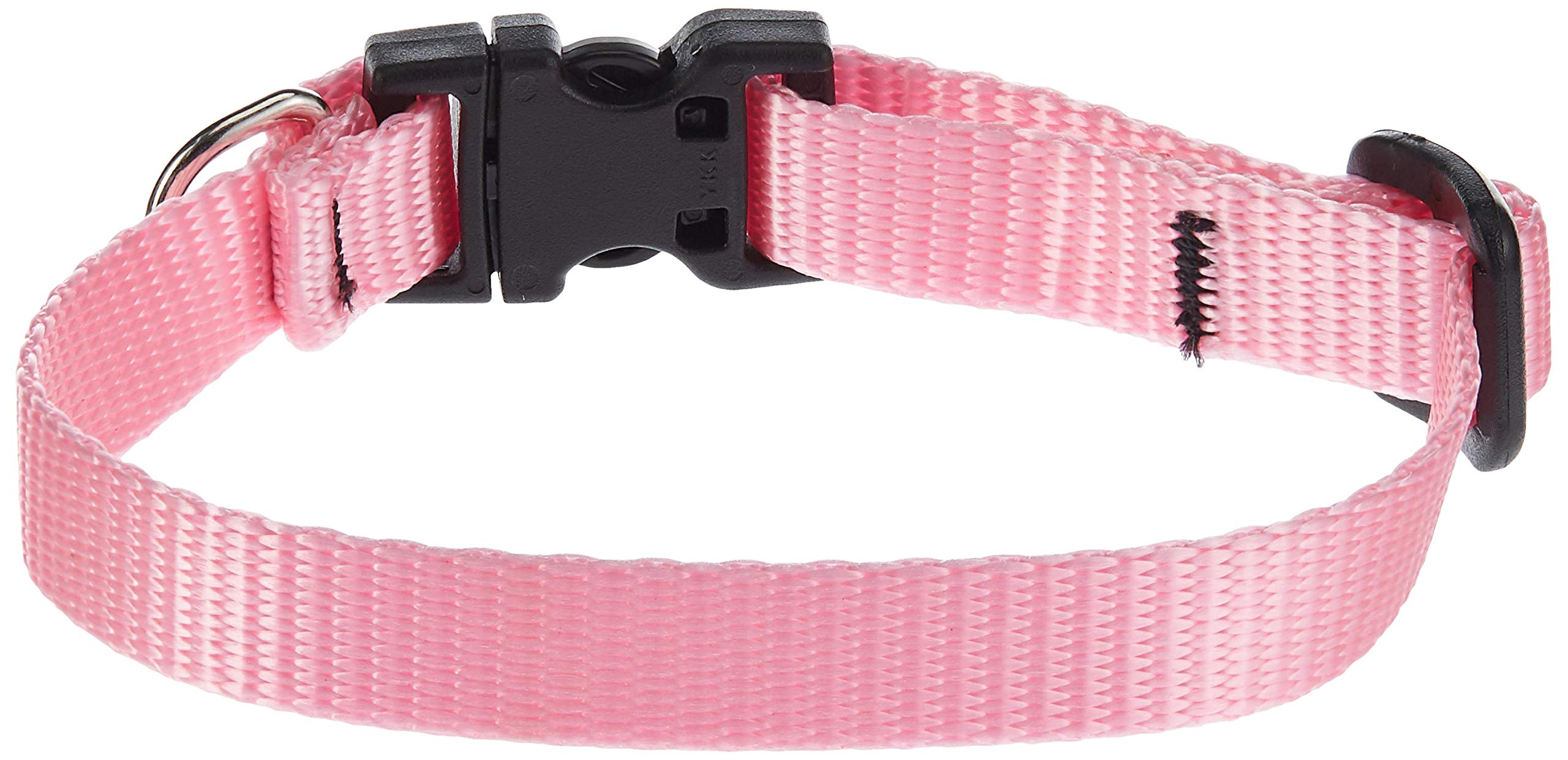 Lupinepet Basics 1/2' Pink Adjustable Dog Collar 8-12' For Small Dogs
