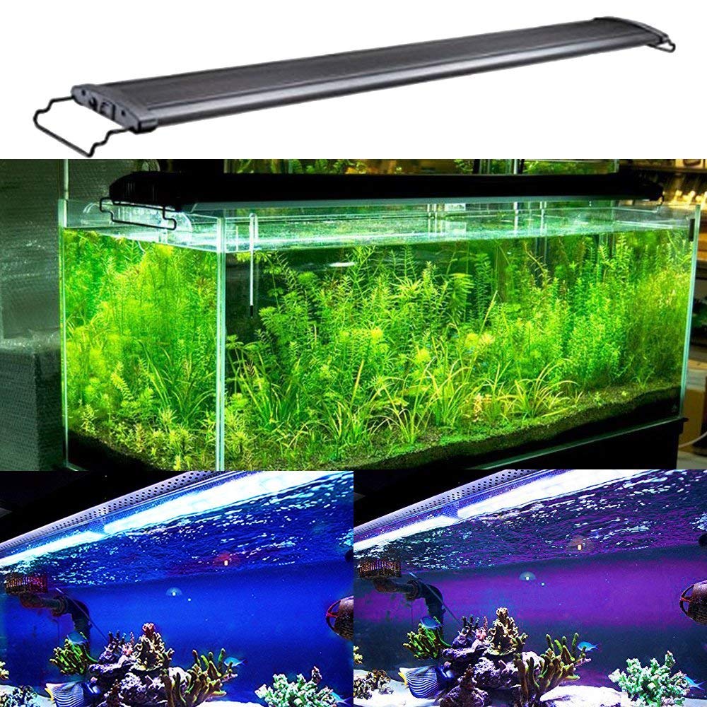 KZKR Aquarium Hood Lighting Fish Tank Light 48-60 inch lamp for Freshwater Saltwater Marine Blue and White Decorations Light 120