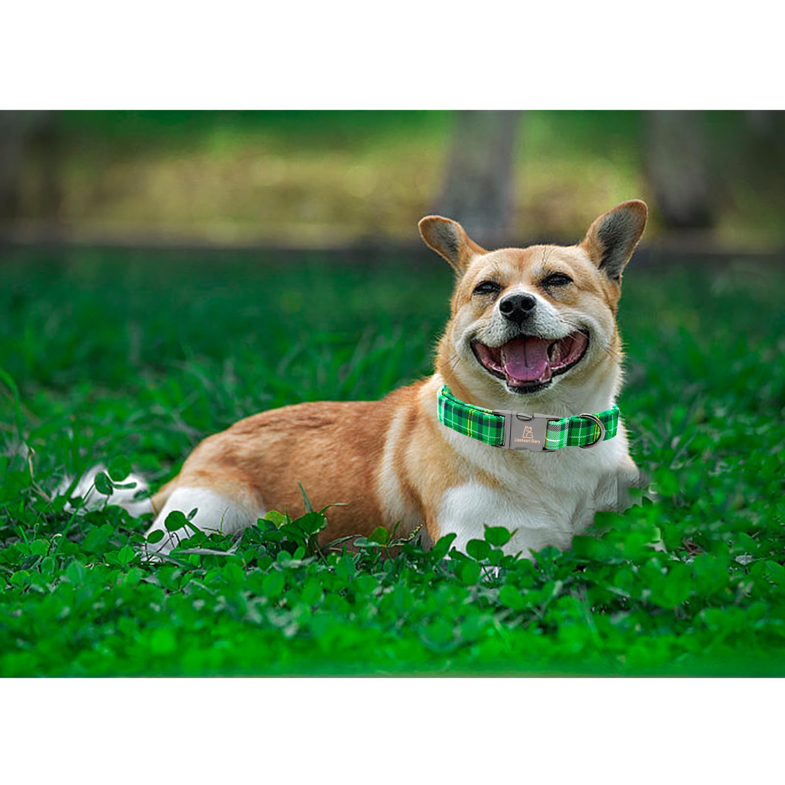 Lionheart Glory St. Patrick'S Day Collar, Green Plaid Pink Collar For Medium Dogs - Adjustable Heavy-Duty Pet Gift