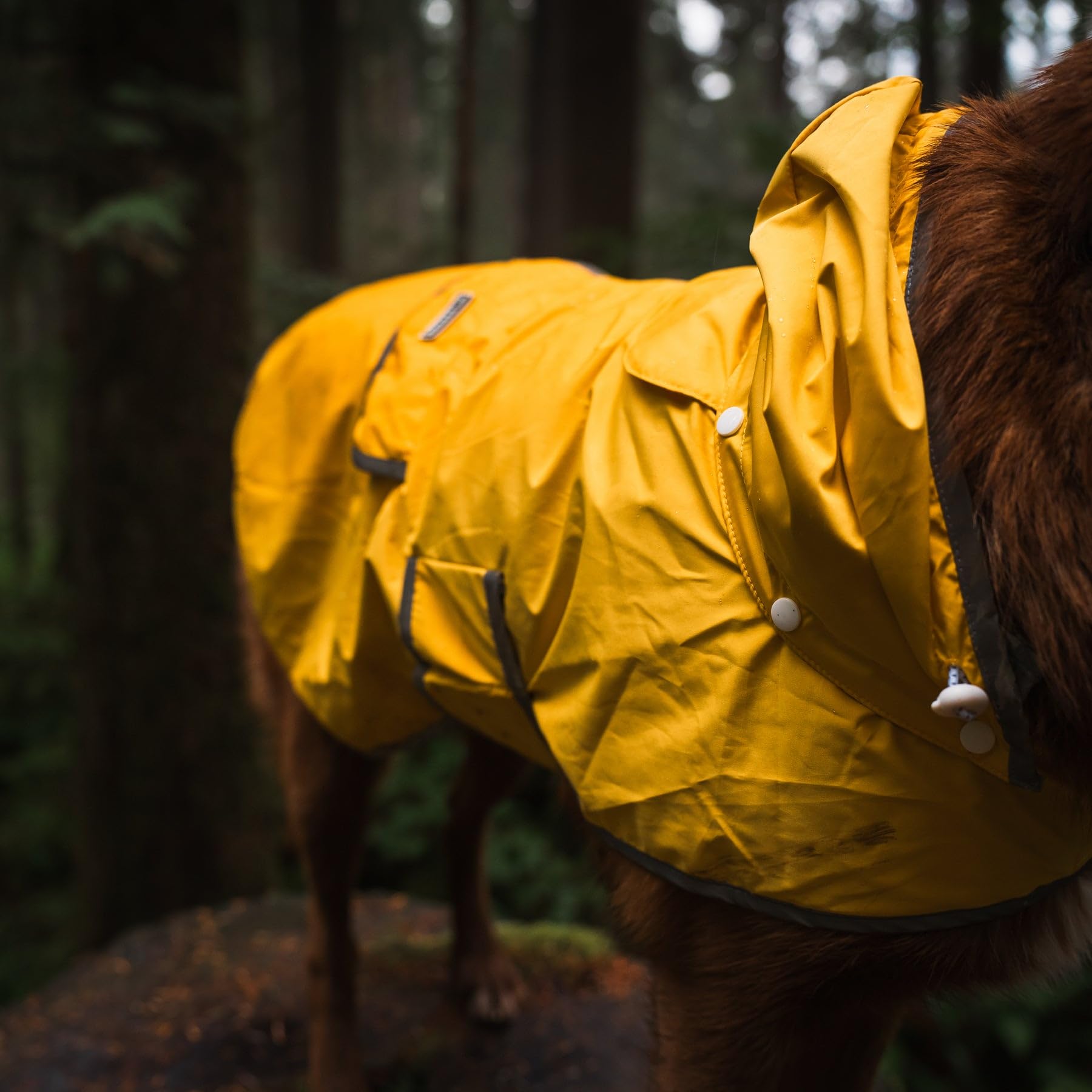 Wilderdog Dog Jacket Waterproof Raincoat With Breathable Interior, Removable Hood, Torso Strap, Secure Closures, Back Pocket And