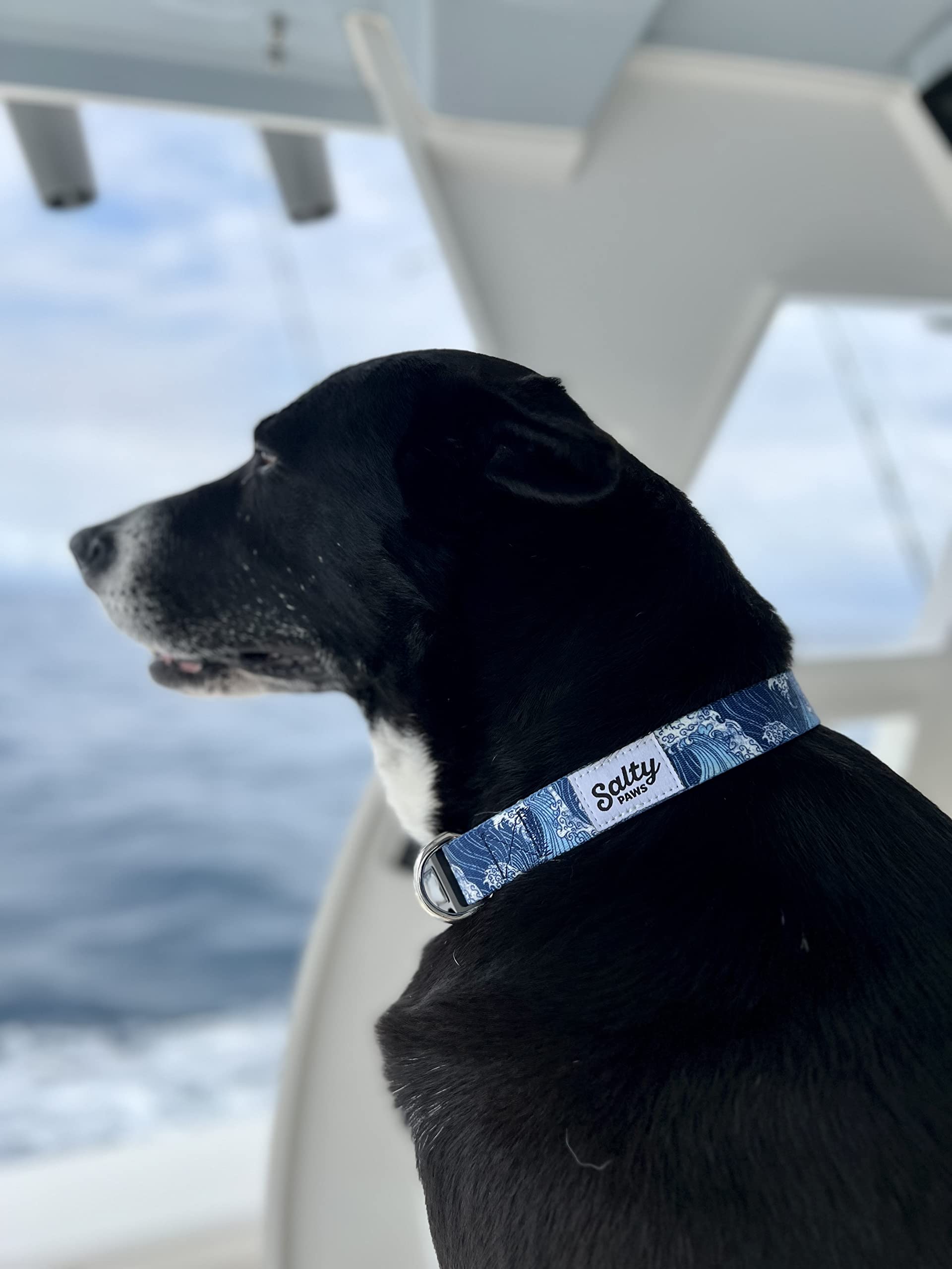 Shaka's Salty Paws Medium Dog Collar - Adjustable 14-20", Blue Wave, for Dogs 25-50 lbs, Durable Polyester