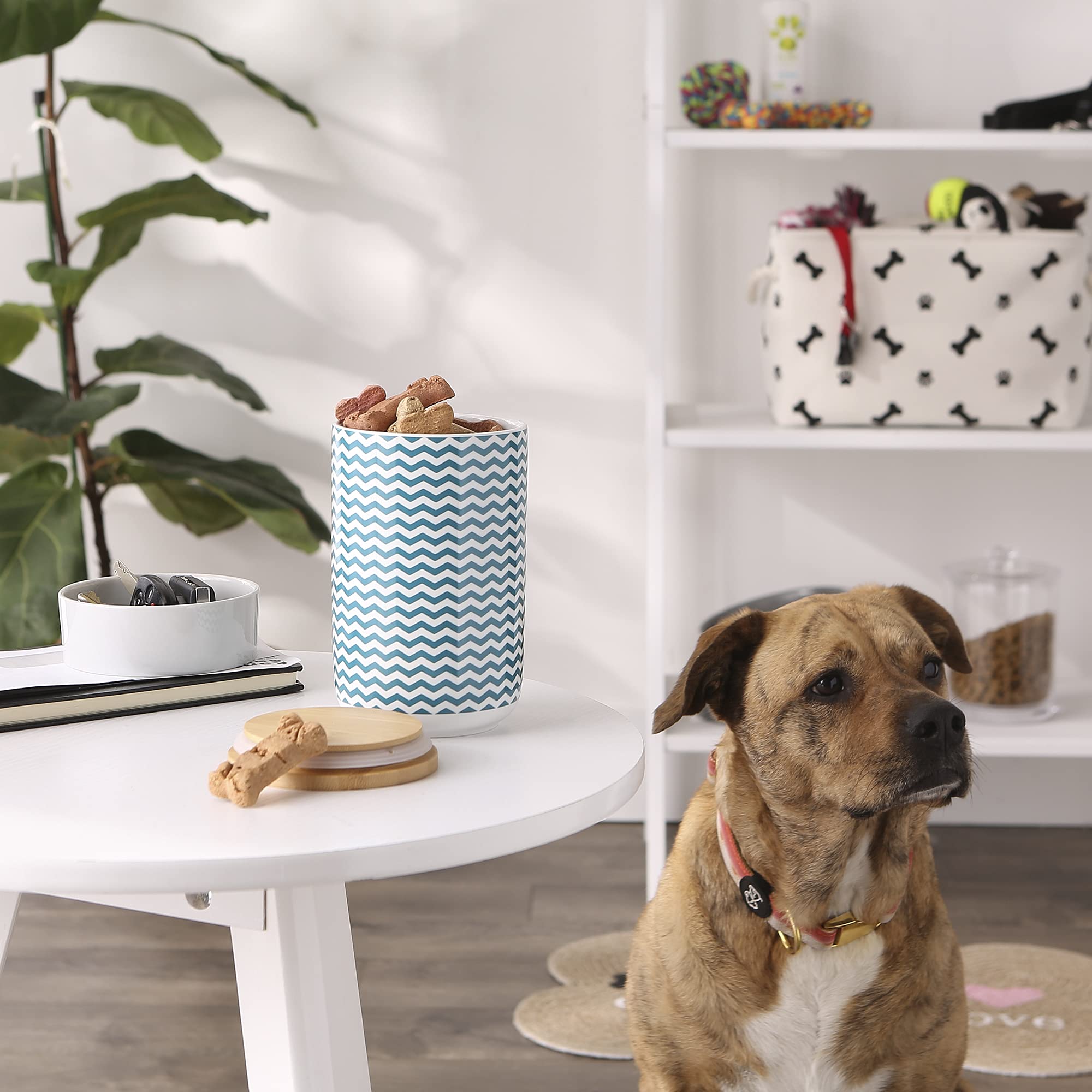 Bone Dry Chevron Ceramic Pet Treat Canister with Bamboo Lid, Dishwasher Safe Countertop Storage, Keep Dog & Cat Treats Safe & Dr