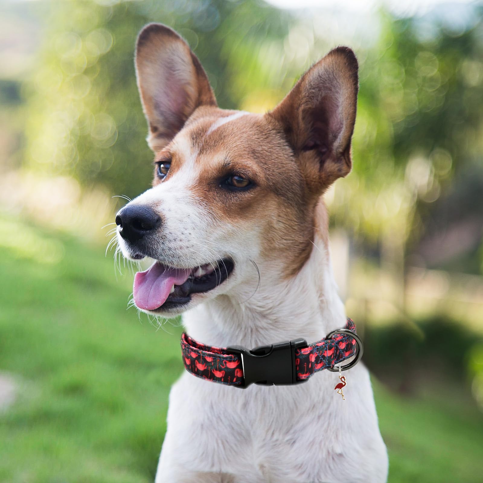 Flamingoes Patterns Dog Collar With Pendant, Durable And Soft Cotton Dog Collars For Small Large Female And Male Dogs Pets(Flami