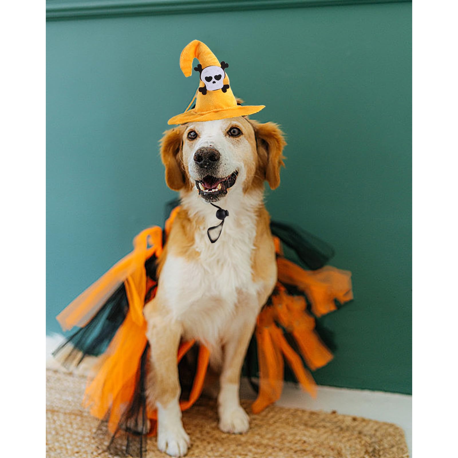 Elegant Little Tail Dog Halloween Costume 1Pc Skull Print Halloween Hat Funny Pet Headgear Adjustable Skull Headdress Cute Witch