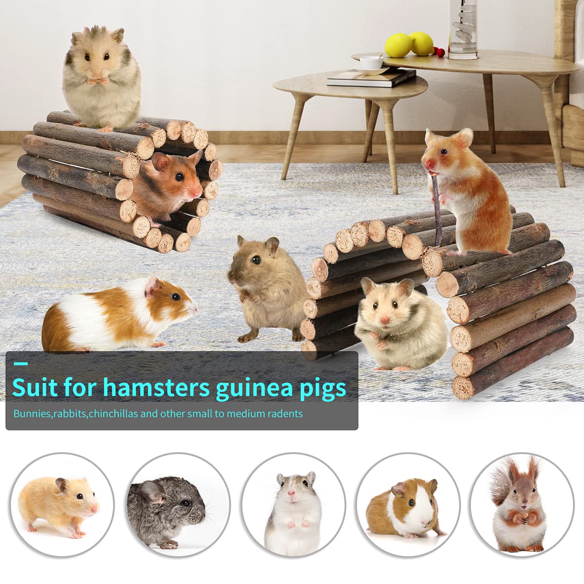 Hamster Toys Guinea Pig Toys Hamster Wheel Hamster Cage Accessories Small Animal Molar Chew Toys For Chinchillas,Gerbils,Mice,Ra