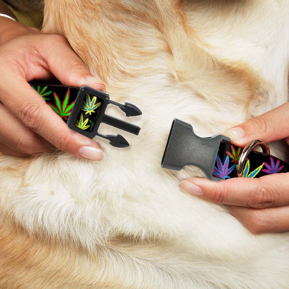 Buckle-Down Plastic Clip Collar - Multi Marijuana Leaves Black/Multi Color - 1/2' Wide - Fits 9-15' Neck - Large