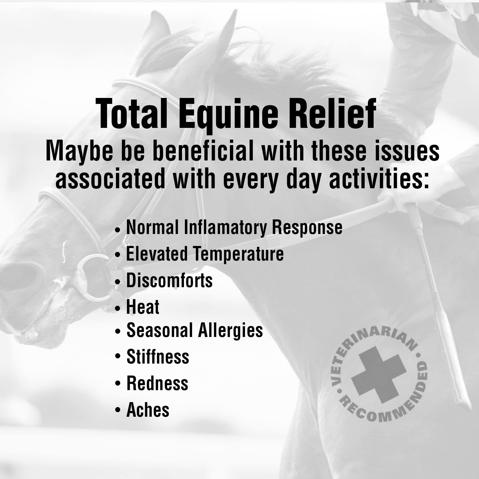 Ramard Total Tendon Repair -Advanced Powder Supplement with Vitamin C, Collagen, and MSM for Horse Joint, Ligament, and Tendon S