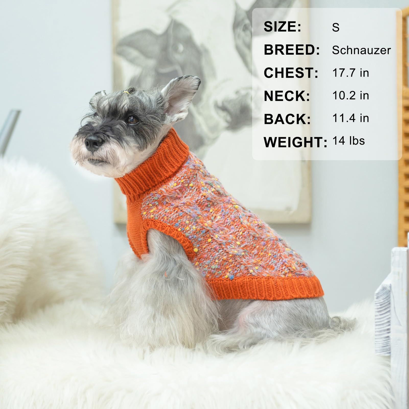 Beautyzoo Medium Dog Sweater, Fall Dog Sweater For Dogs Girls Boys Female Male, Color Block With Fuzzy Thread Knitted Turtleneck