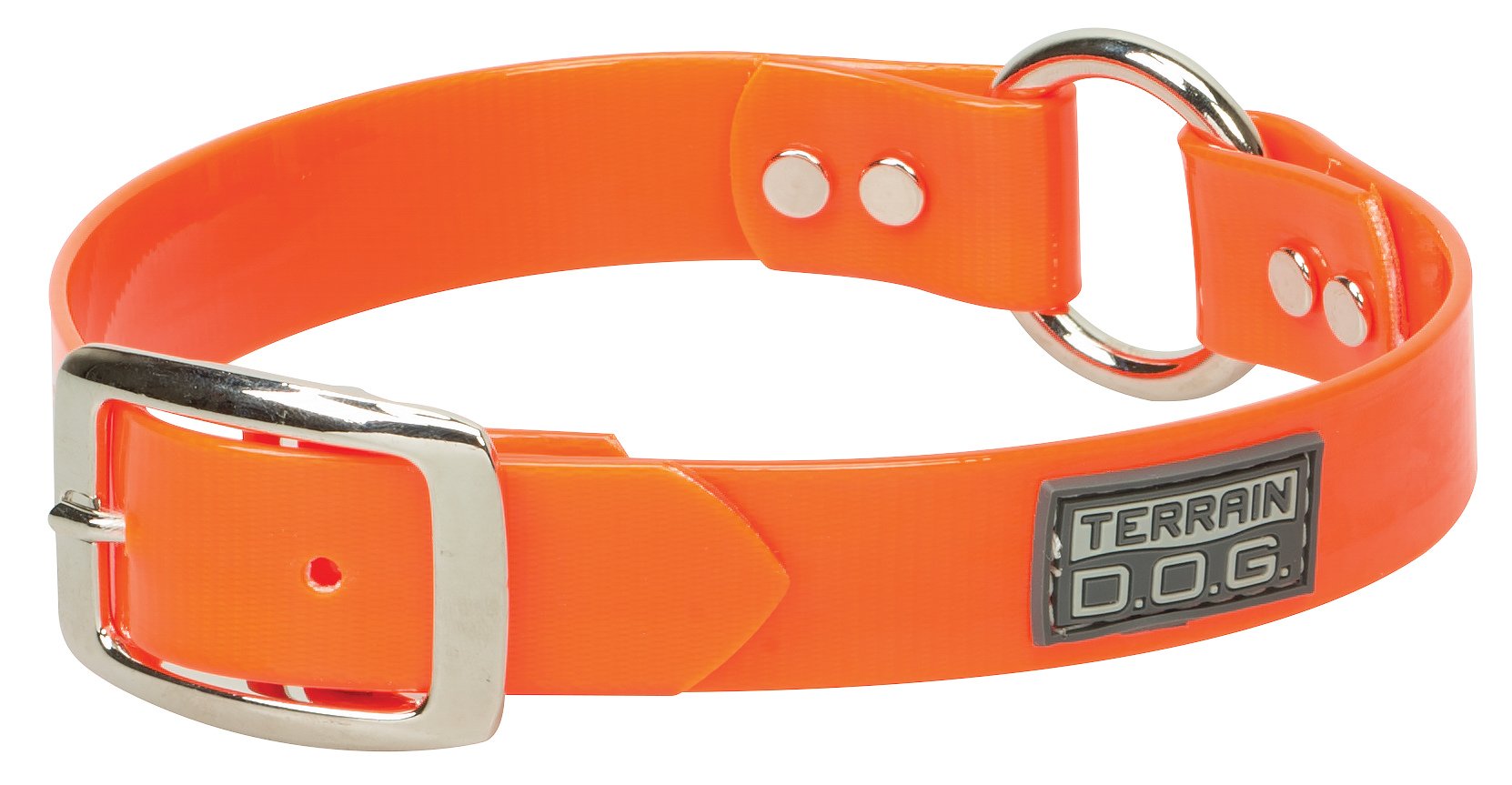 Terrain D.O.G. Brahma Webb Clear Coat Dog Collar, 1' X 25'