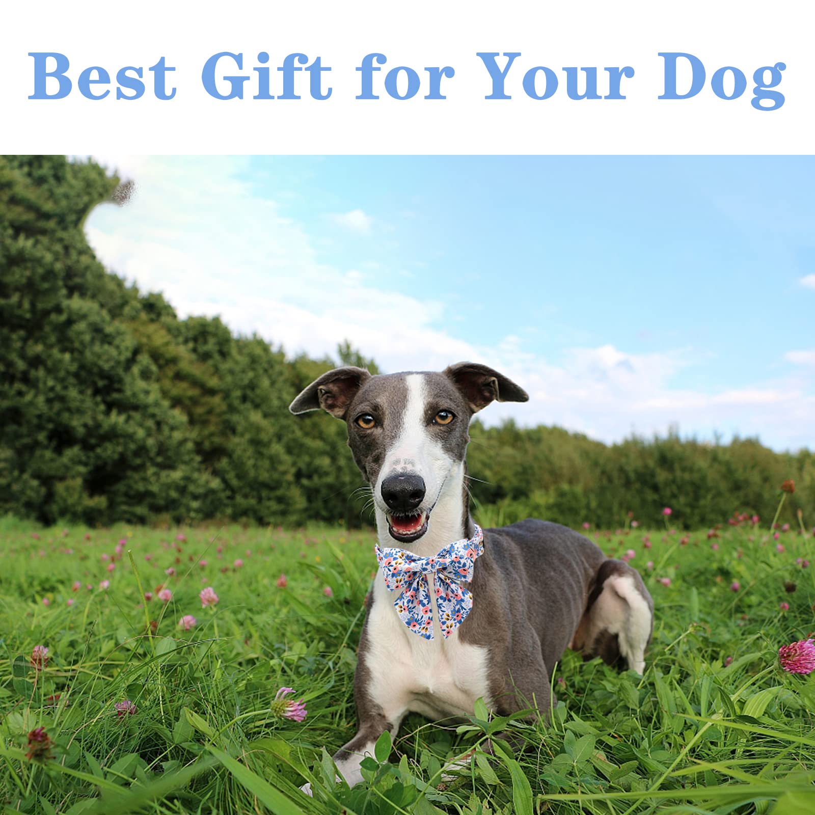 Unique Style Paws Dog Collar With Tie Adjustable Blue Bowtie Puppy Collars For Small Medium Large Dogs And Cats-L