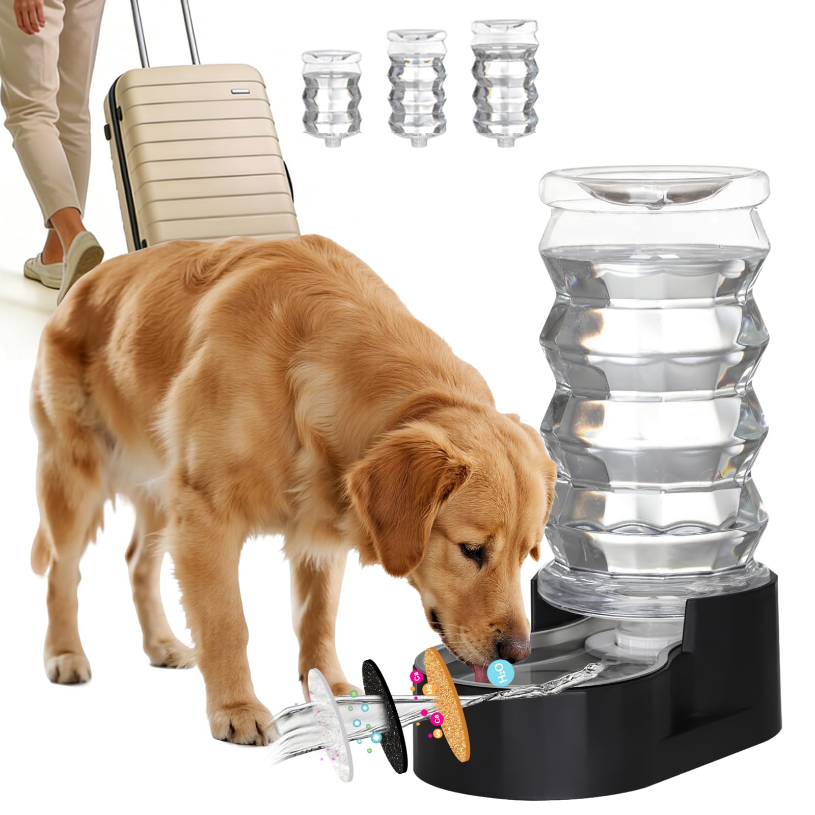 RIZZARI Dog Water Dispenser Bowl: 8L Large Black Stainless Steel Automatic Pet Dispenser with Triple Filter and Specialized Brus