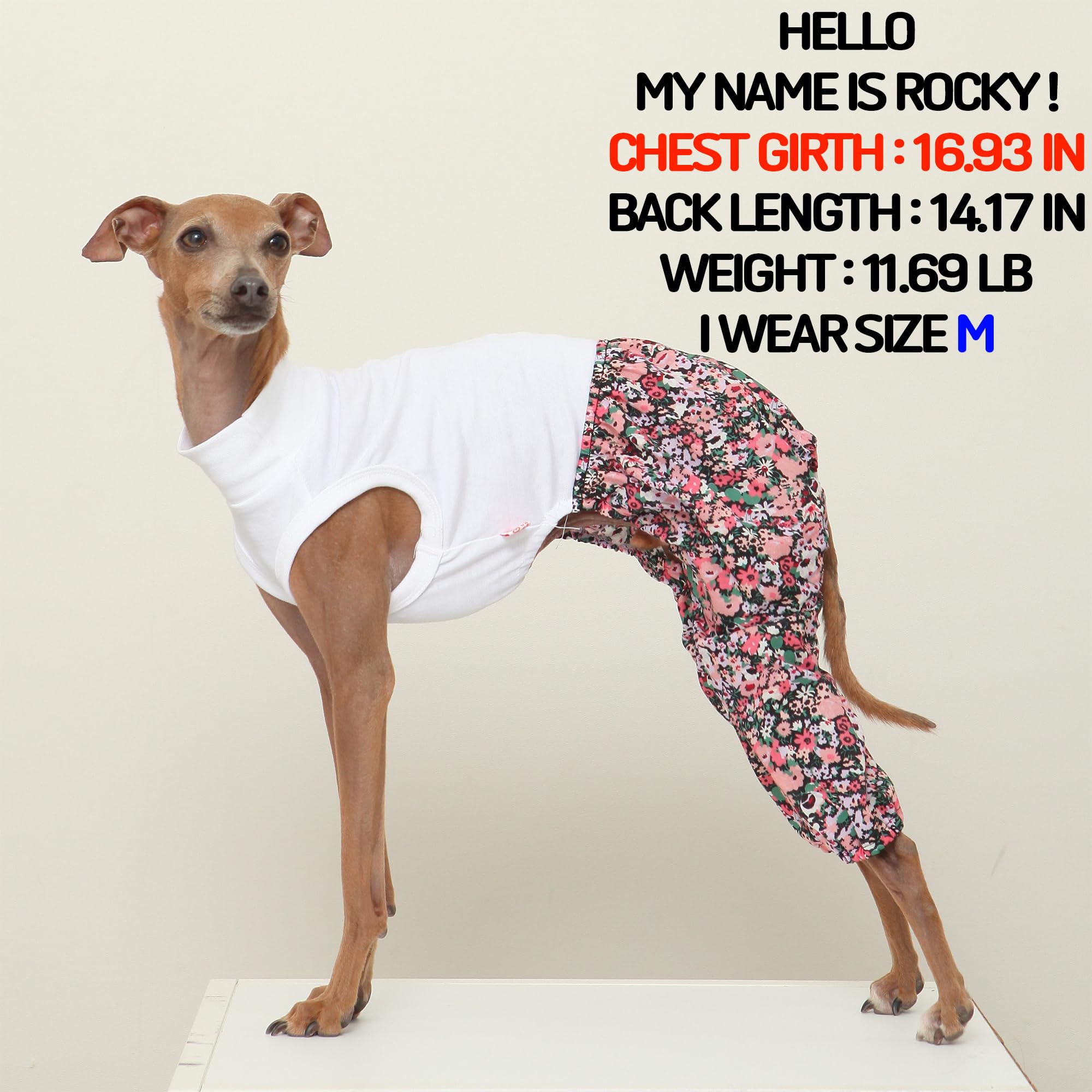 D Doggy Star Italian Greyhound Clothes Mombbe Onesie Outfit Whippet For Dog Coat (S,Mombbe Black)