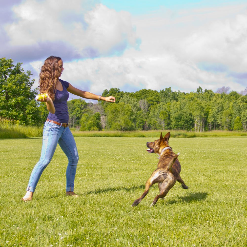 Hyper Pet Hyper Squawkers Dog Jack Durable Dog Toy Designed From Tpr And Nylon With An Enticing Giggle Noise Medium