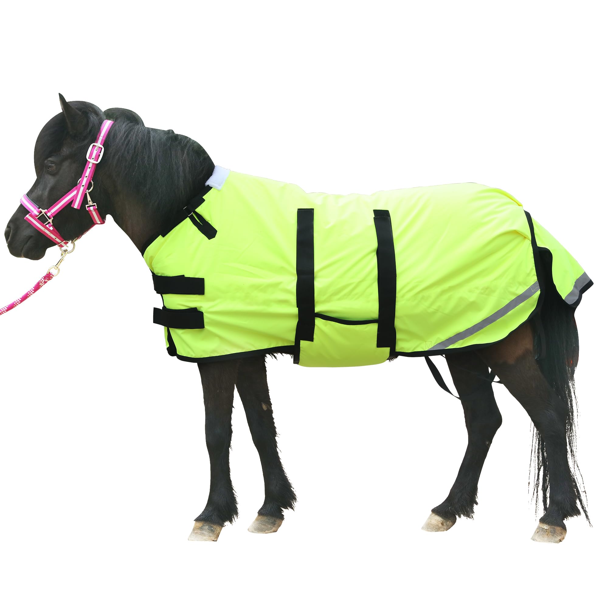 Gallopoff Foal/Mini Horse Size 30''-48'' Waterproof & Breathable 300 Denier Winter Turnout Blanket With 150G Polyfill Green Medi