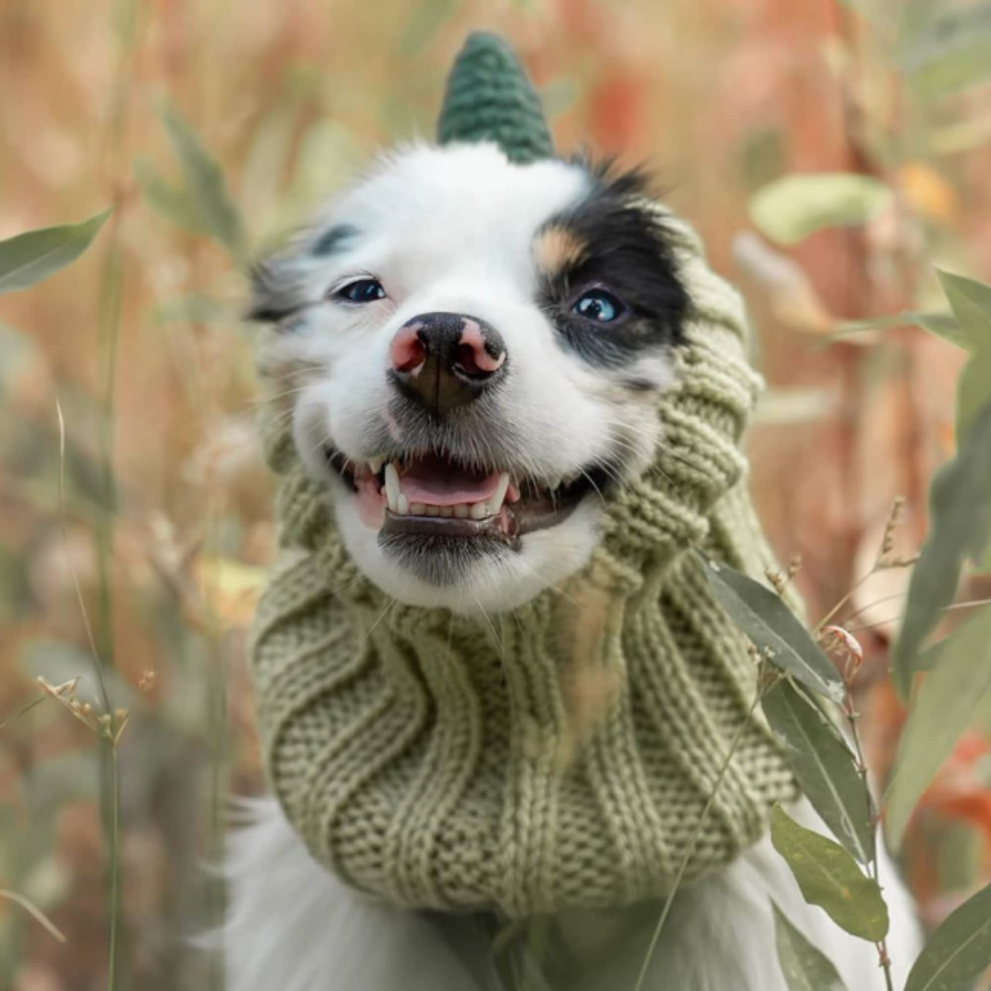 Zoo Snoods Dinosaur Costume for Dogs - Warm No Flap Ear Wrap Hood for Pets, Godzilla Dog Outfit for Winters, Halloween, Christma