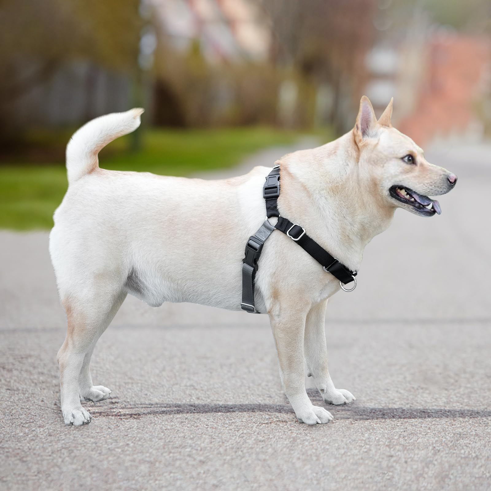 No Pull Dog Harness For Large Size Dogs, Adjustable Harness For Dog Training, Walking & Teach Better Leash Manners, Easy Control
