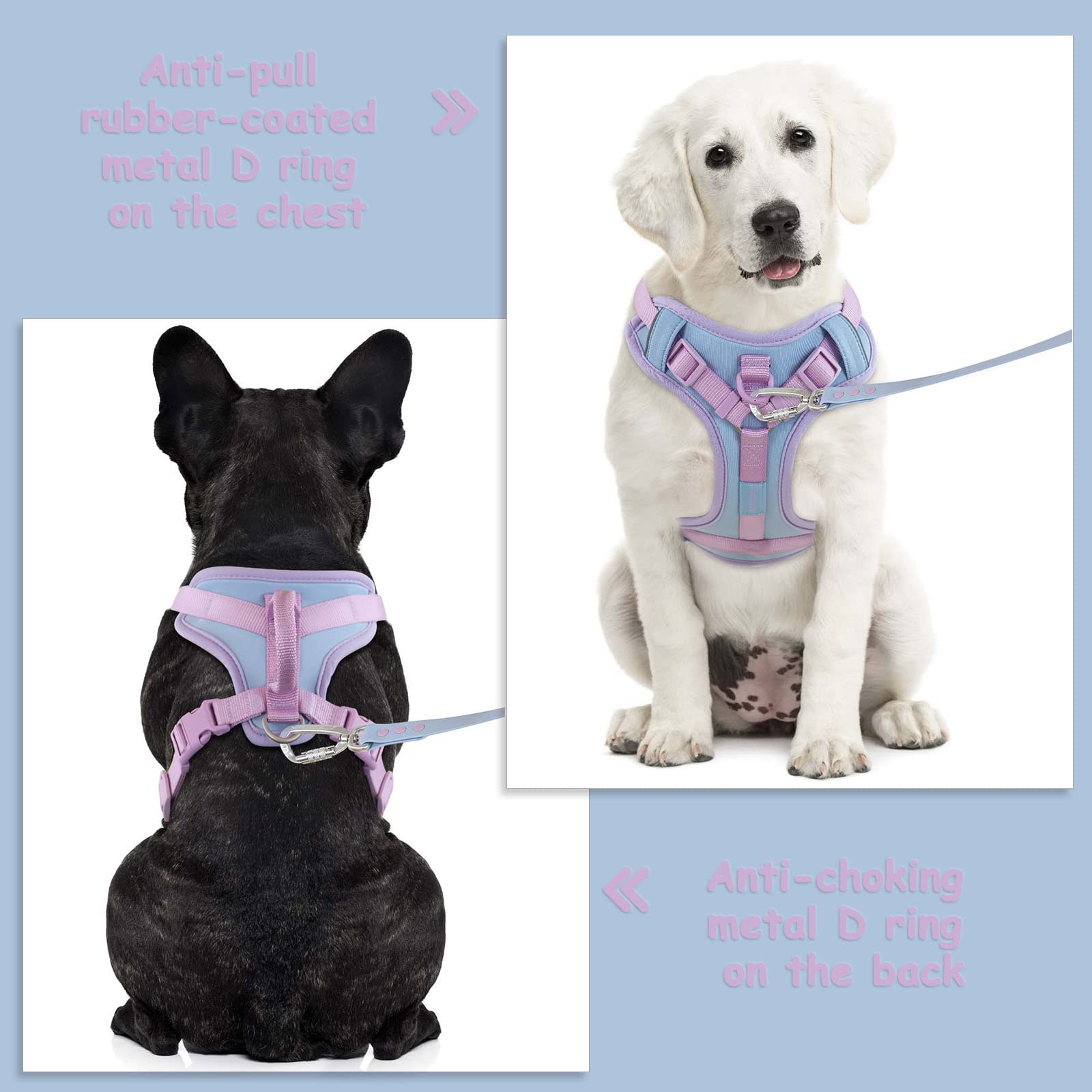 Wolfone No Pull Dog Harness Adjustable Soft Padded Pet Vest With Control Handle Adorable Daily Harness For Dogs(Spun Sugar Xs)