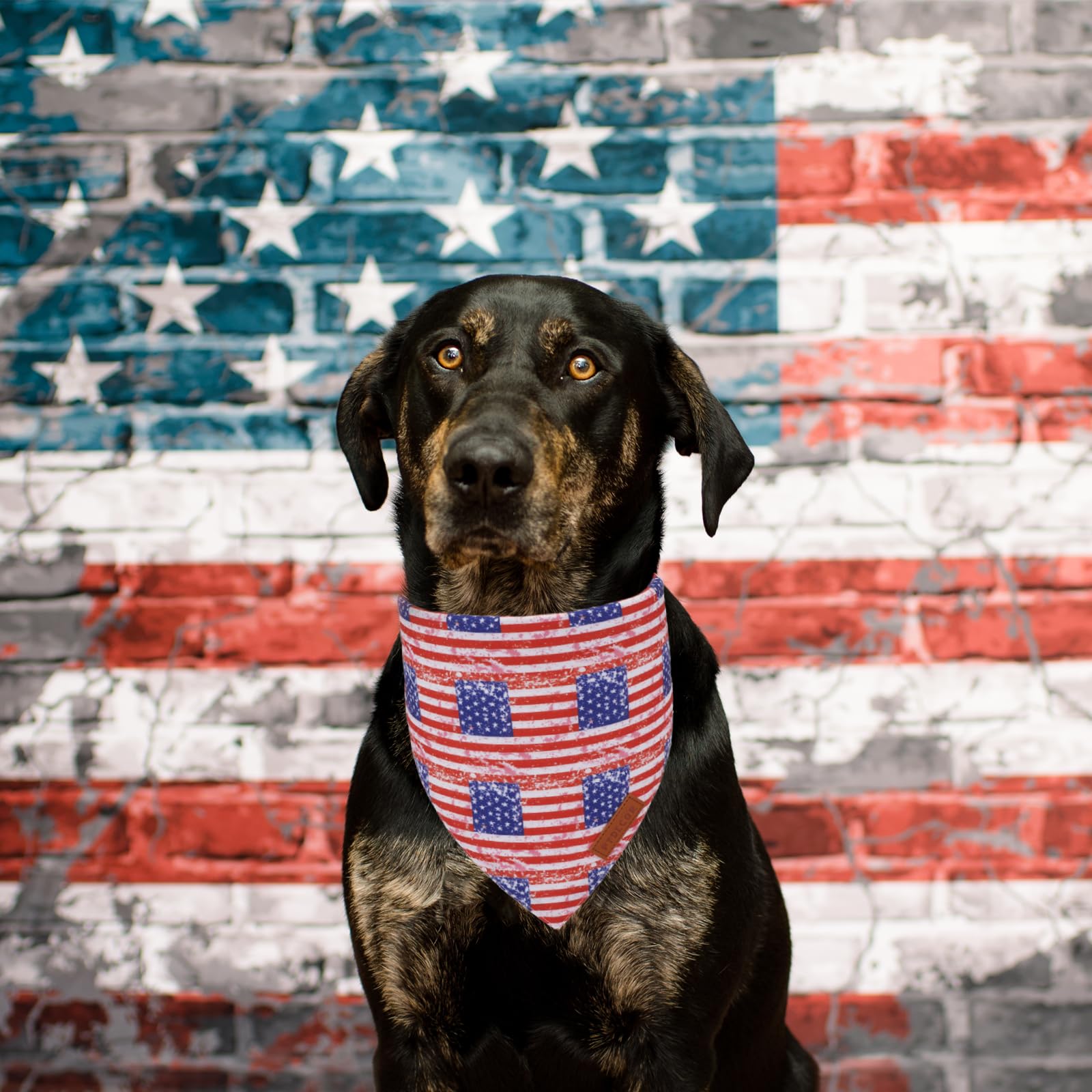 Ptdecor American Flag Dog Bandana Striped Stars Patterns, 4Th Of July Pet Scarf Reversible Triangle Patriotic Bandanas For Mediu