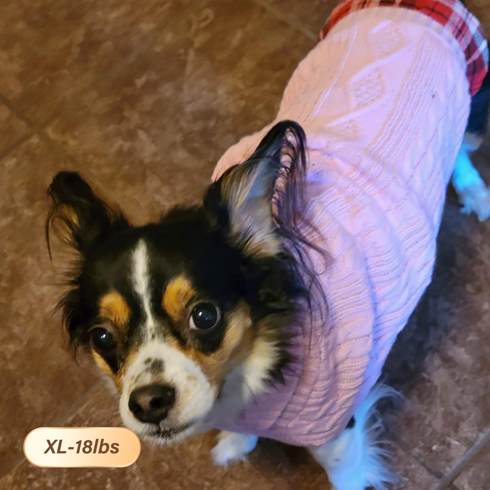 Kyeese Dog Sweaters With Leash Hole Dog Turtleneck Sweater Knitwear With Gingham Warm Pet Coat For Fall Winter