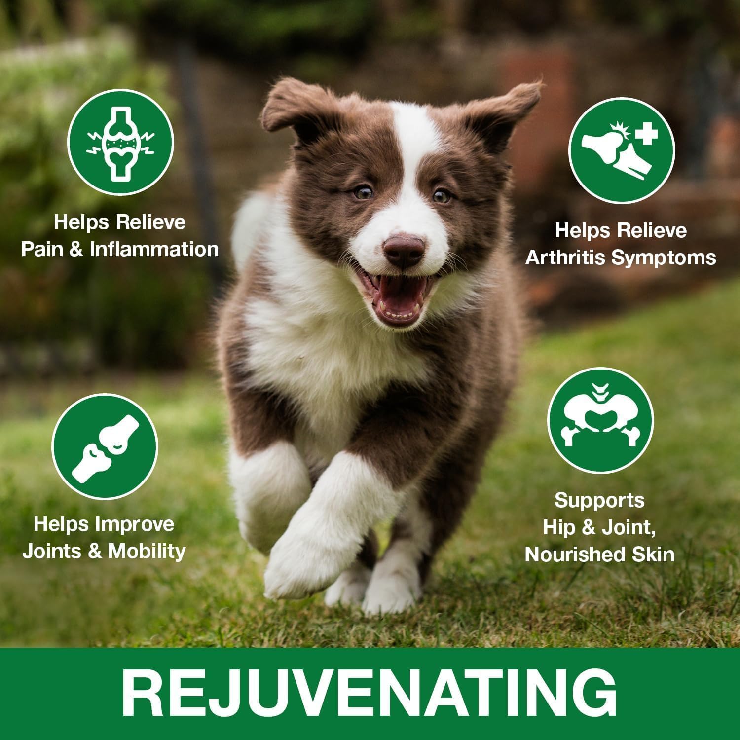 2 Pack Hemp Oil for Dogs and Cats - Anxiety Stress Sleep Allergies Arthritis Seizures Pain Relief - Promotes Skin Hip Joint Heal