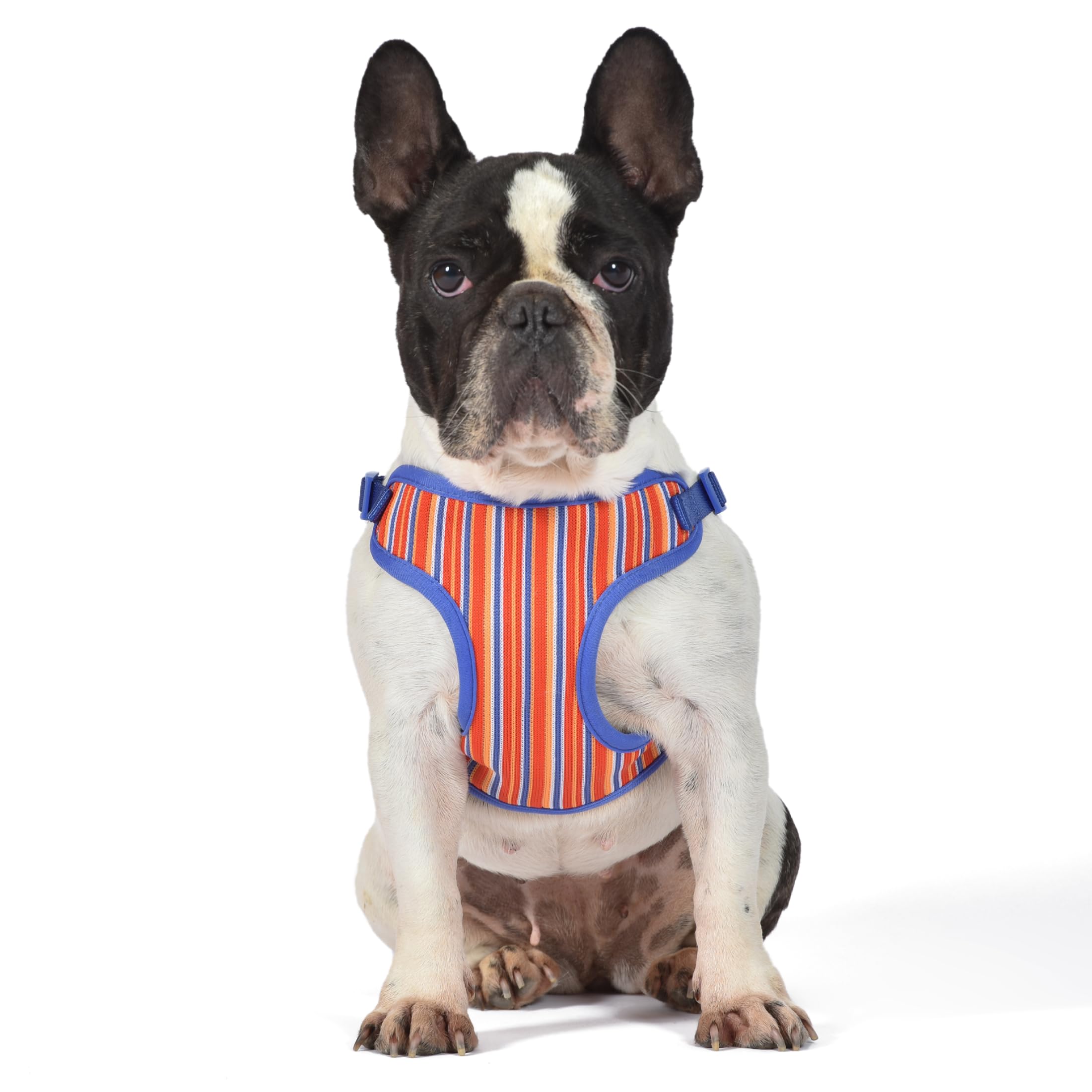 The Dodo Dog Harness, Striped, Size Small; Easy Step-in Harness for Dogs; Breathable Mesh Fabric; Snap-Together, Pinch Release B