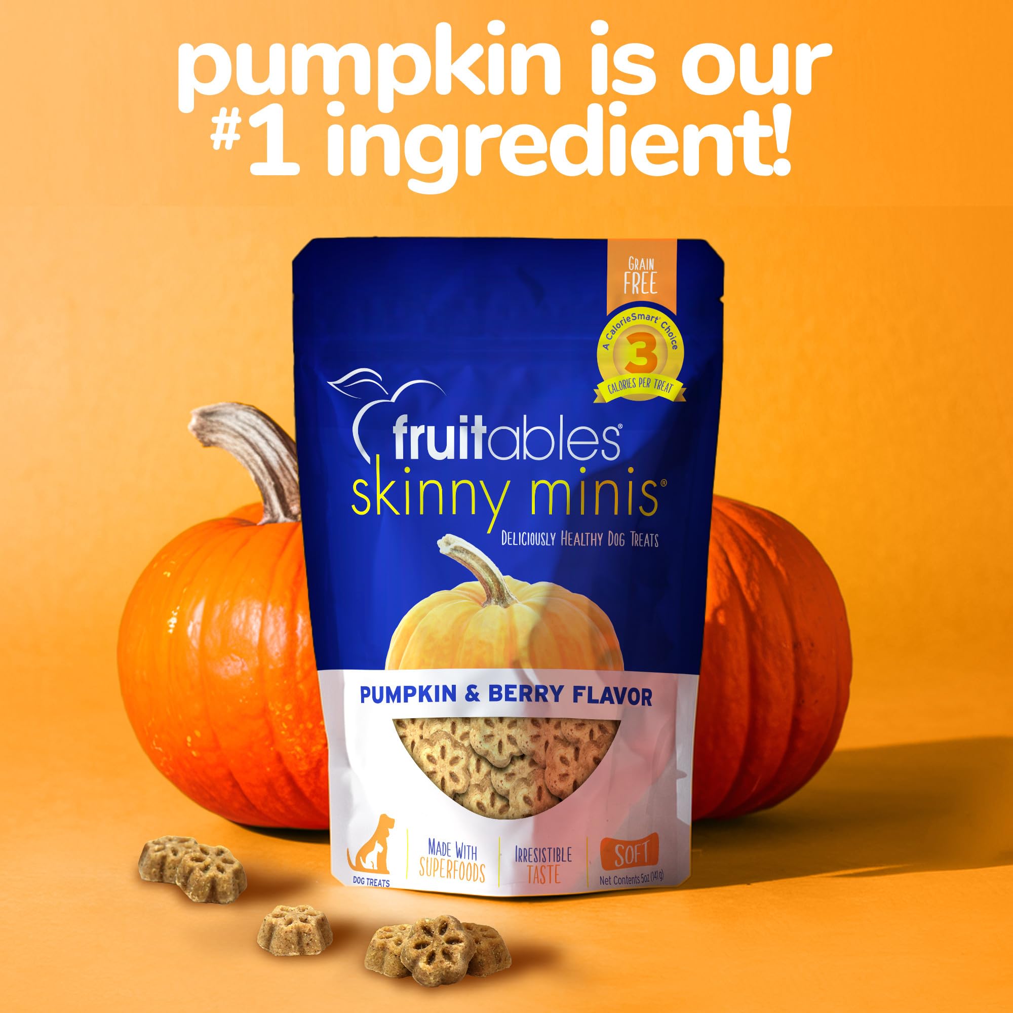 Fruitables Skinny Mini Dog Treats - Healthy Treats for Dogs - Low Calorie Training Treats - Free of Wheat, Corn and Soy - Pumpki
