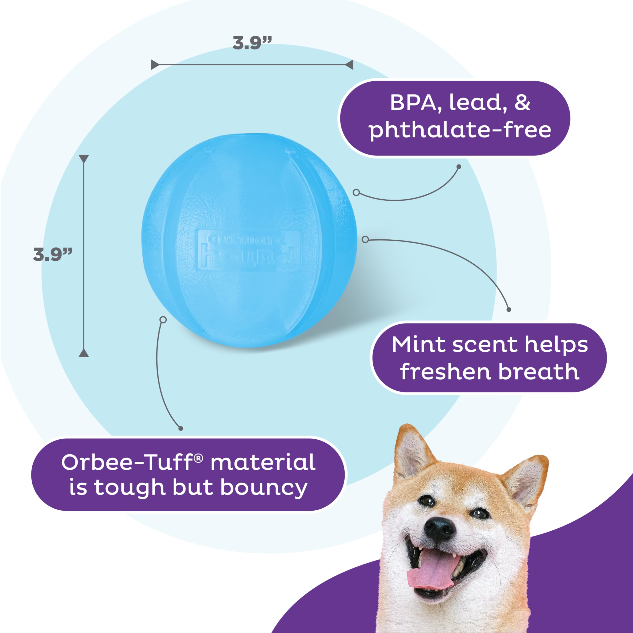 Outward Hound by Planet Dog Guru Treat-Dispensing Puzzle Ball Dog Toy, Blue