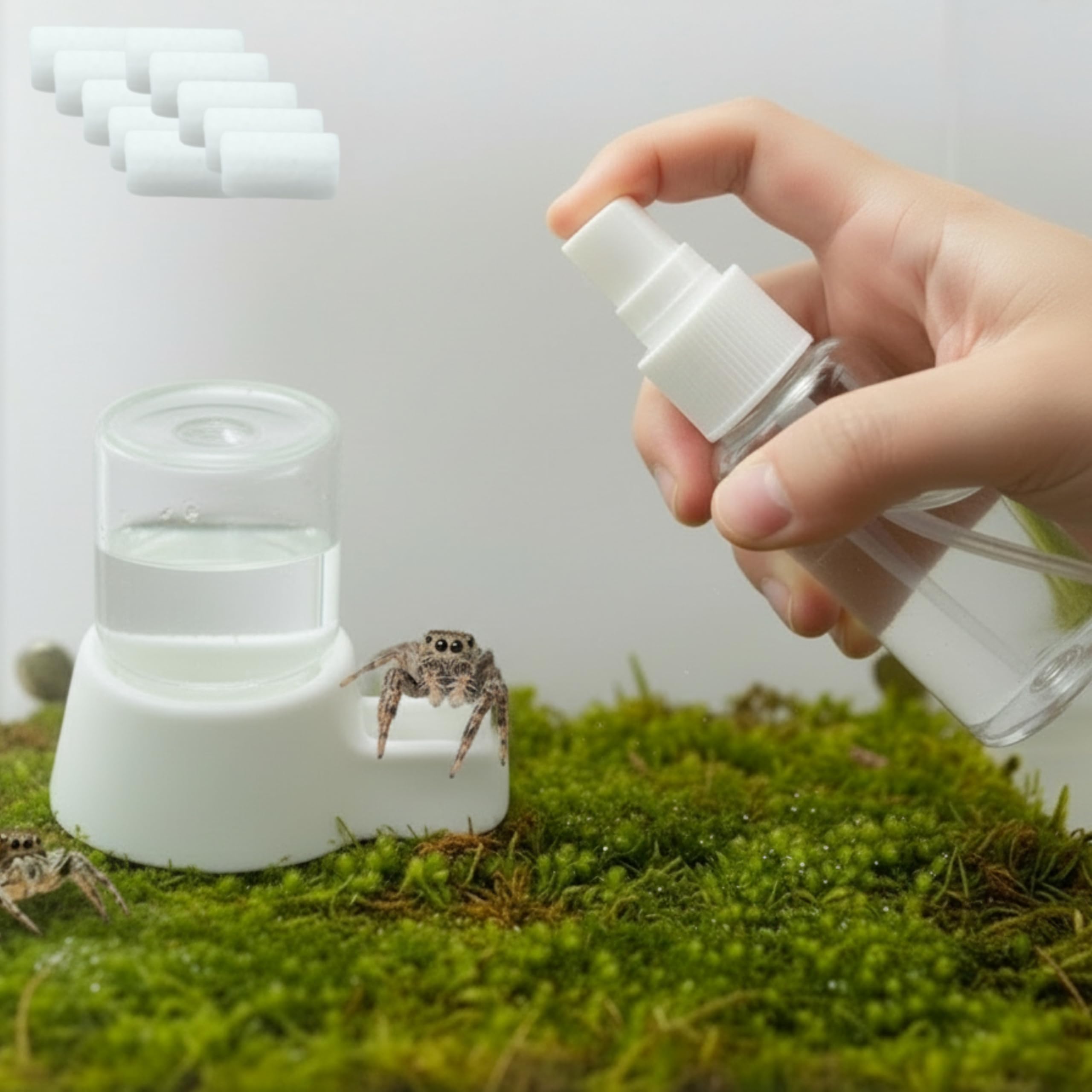 Jumping Spider Water Dispenser Enclosure Accessories, Mini Water Dispenser and Mist Bottle with 10 Replace Cotton Cores, Jumping
