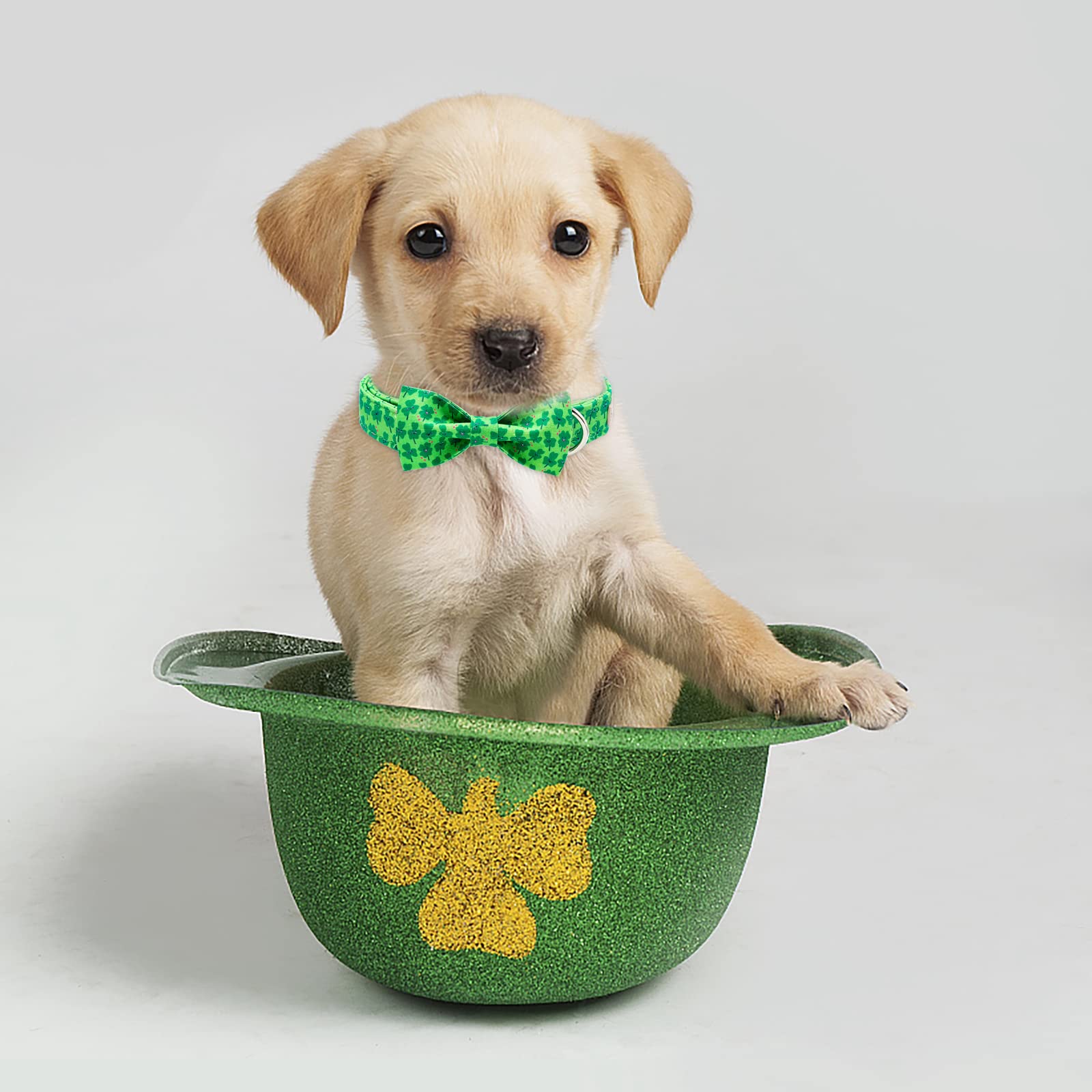 2023 New St.Patrick'S Day Dog Collar With Bow Tie-Babole Pet, Cute Clover Male Dog Collar With Safety Metal Buckle Adjustable Puppy Collars For Small Medium Large Boy & Girl Dog,Xl-Neck 16'-26'