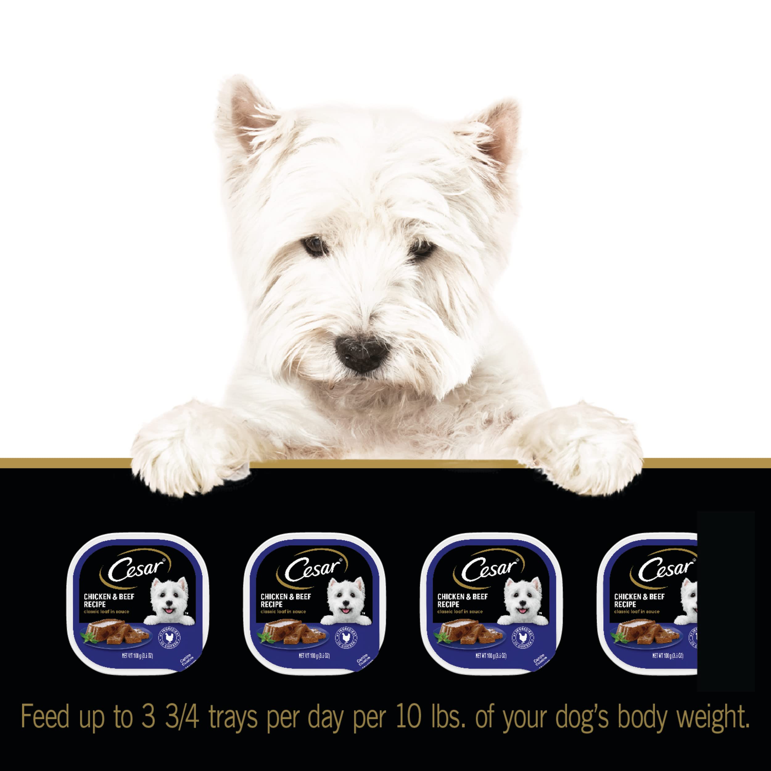 Cesar Wet Dog Food Classic Loaf in Sauce Chicken & Beef Recipe, 3.5 oz. Easy Peel Trays (24 Count, Pack of 1)