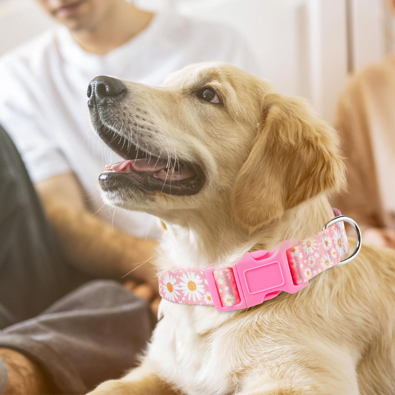 Girl Dog Collars With Daisy Patterns, Cute Pink Dog Collar For Female Dogs, Adjustable Soft Durable Pet Collars For Xs Small Med