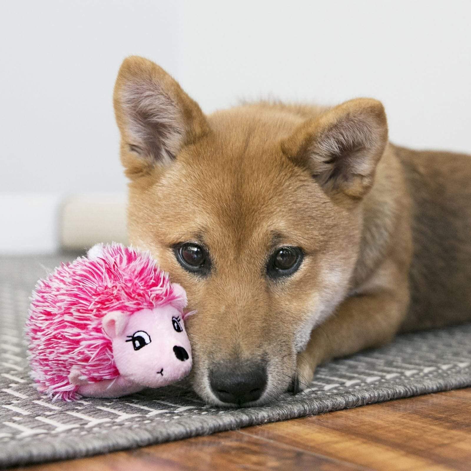 KONG Company 38742131: Comfort HedgeHug Puppy Dog Toy, Xs