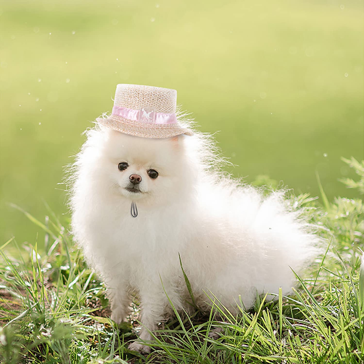 Harikaji Dog Top Hat,Pet Round Straw Hat,Dog Visor Mesh Sun Cap,Bucket Cap For Small Medium Large Dog Cats Rabbits(White,S)