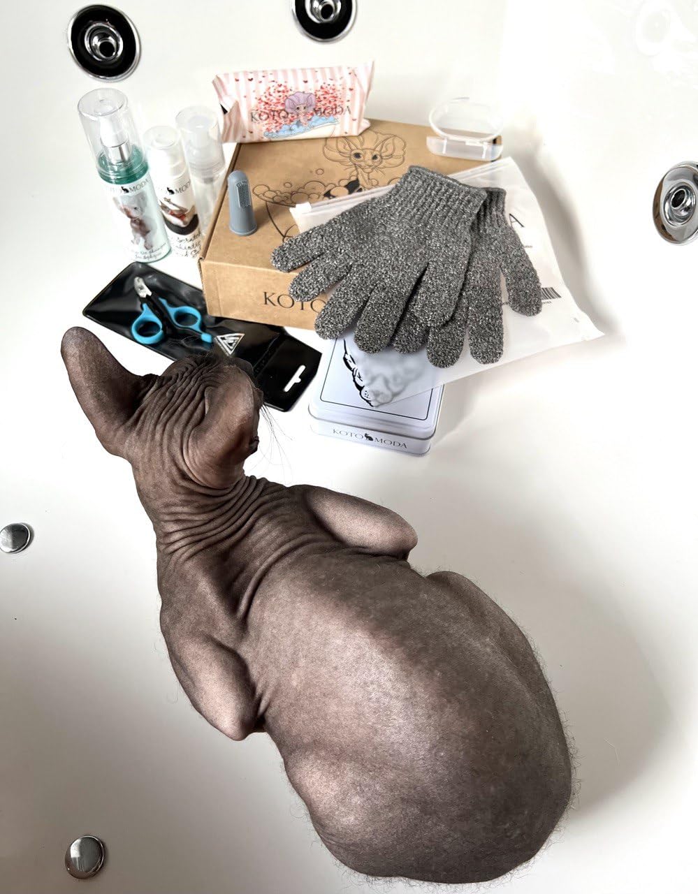 Kotomoda Ultimate Kit For Cats And Small Animals: Unique Care Set For Your Pet Probiotic Shampoo For Sphynx And Naked Cats, Wet