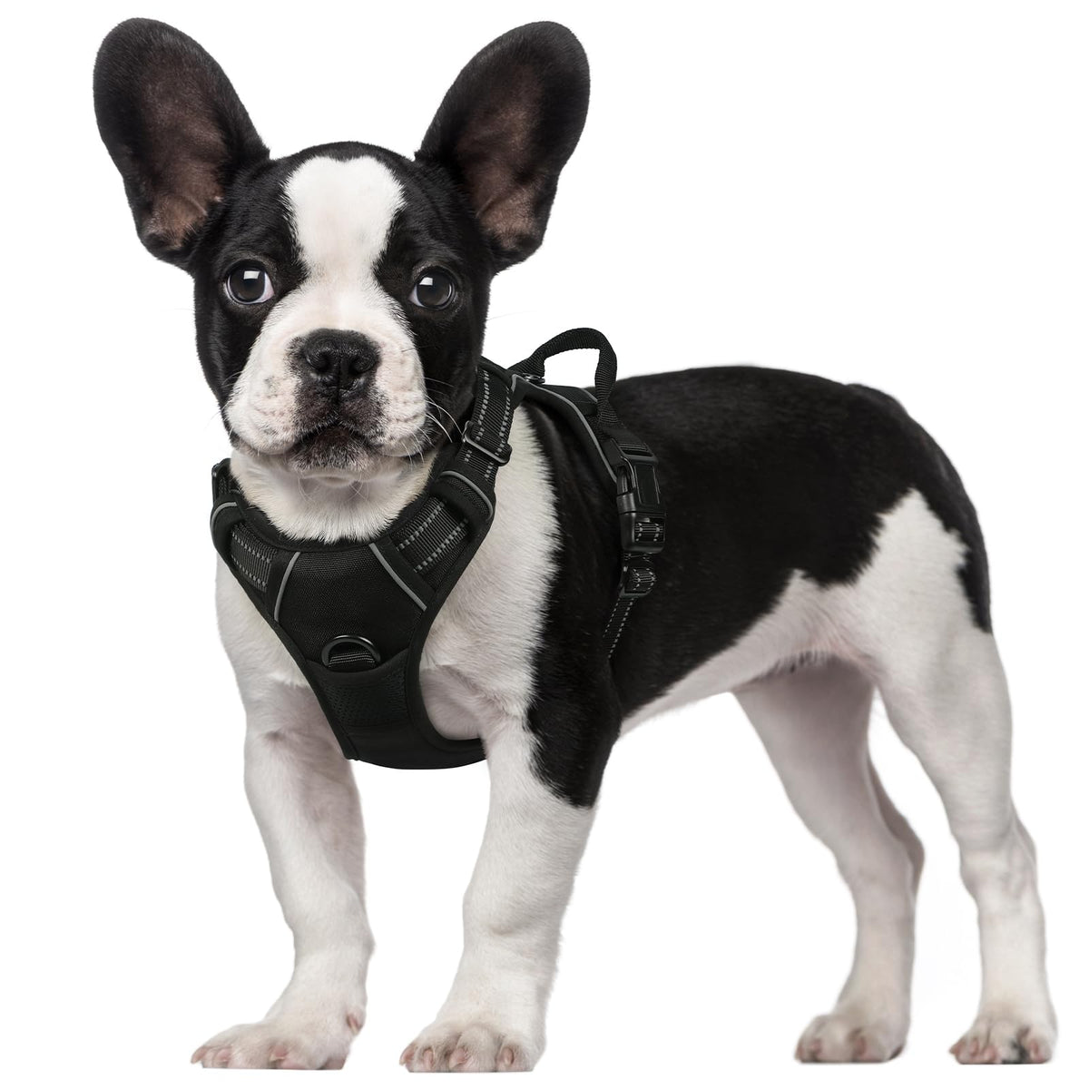 Rabbitgoo Dog Harness, No-Pull Pet Harness With 2 Leash Clips, Adjustable Soft Padded Dog Vest, Reflective No-Choke Pet Oxford Vest With Easy Control Handle For Small Dogs, Black, S