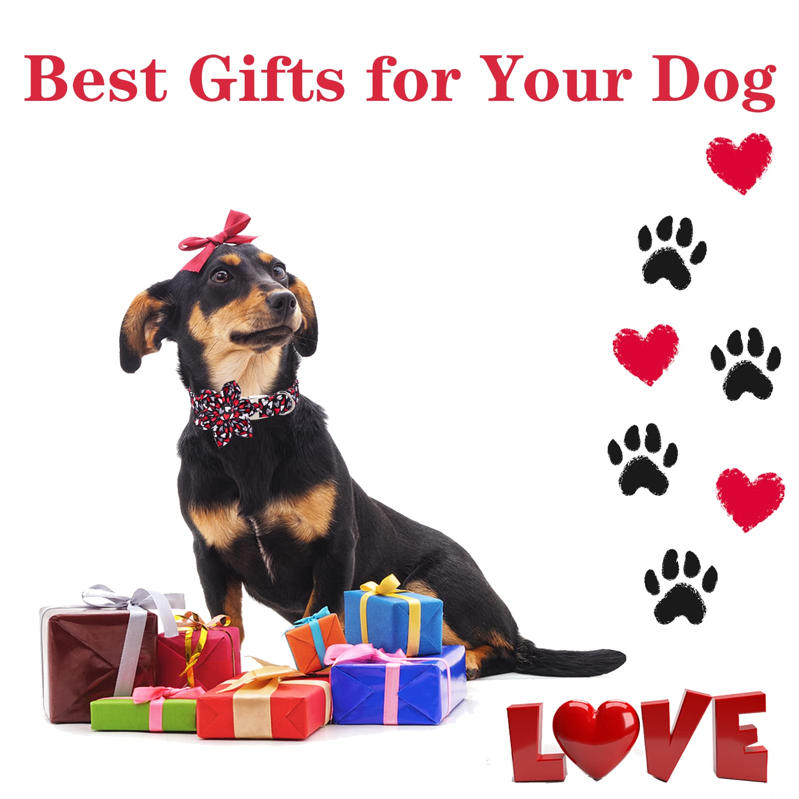 Unique Style Paws Valentine'S Day Dog Collar With Flower Tie Black & Red Heart Puppy Collar Best Gothic Style Gift For Small Medium Large Boys Girls-Xs