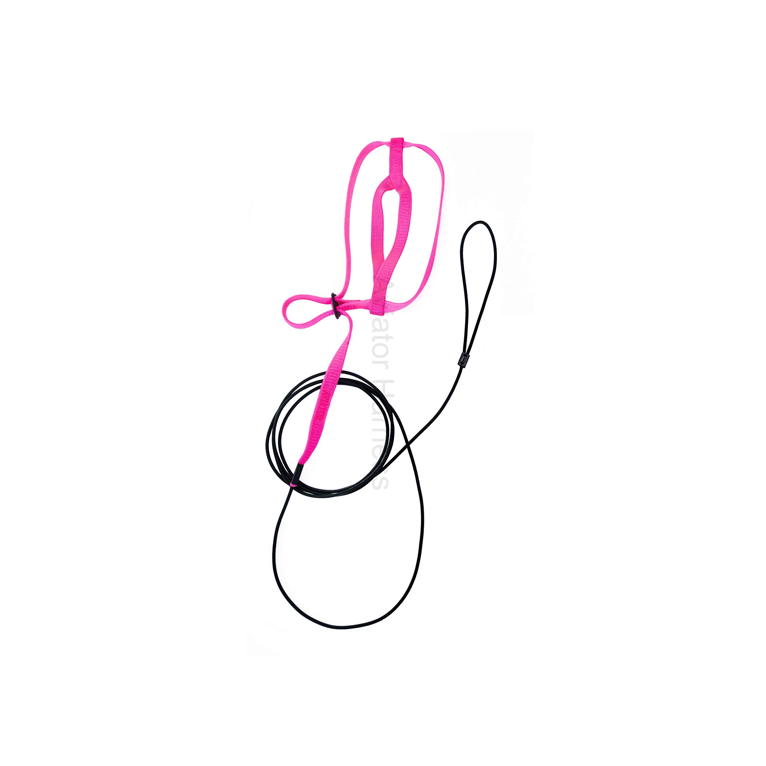 The AVIATOR Pet Bird Harness and Leash: Small Pink